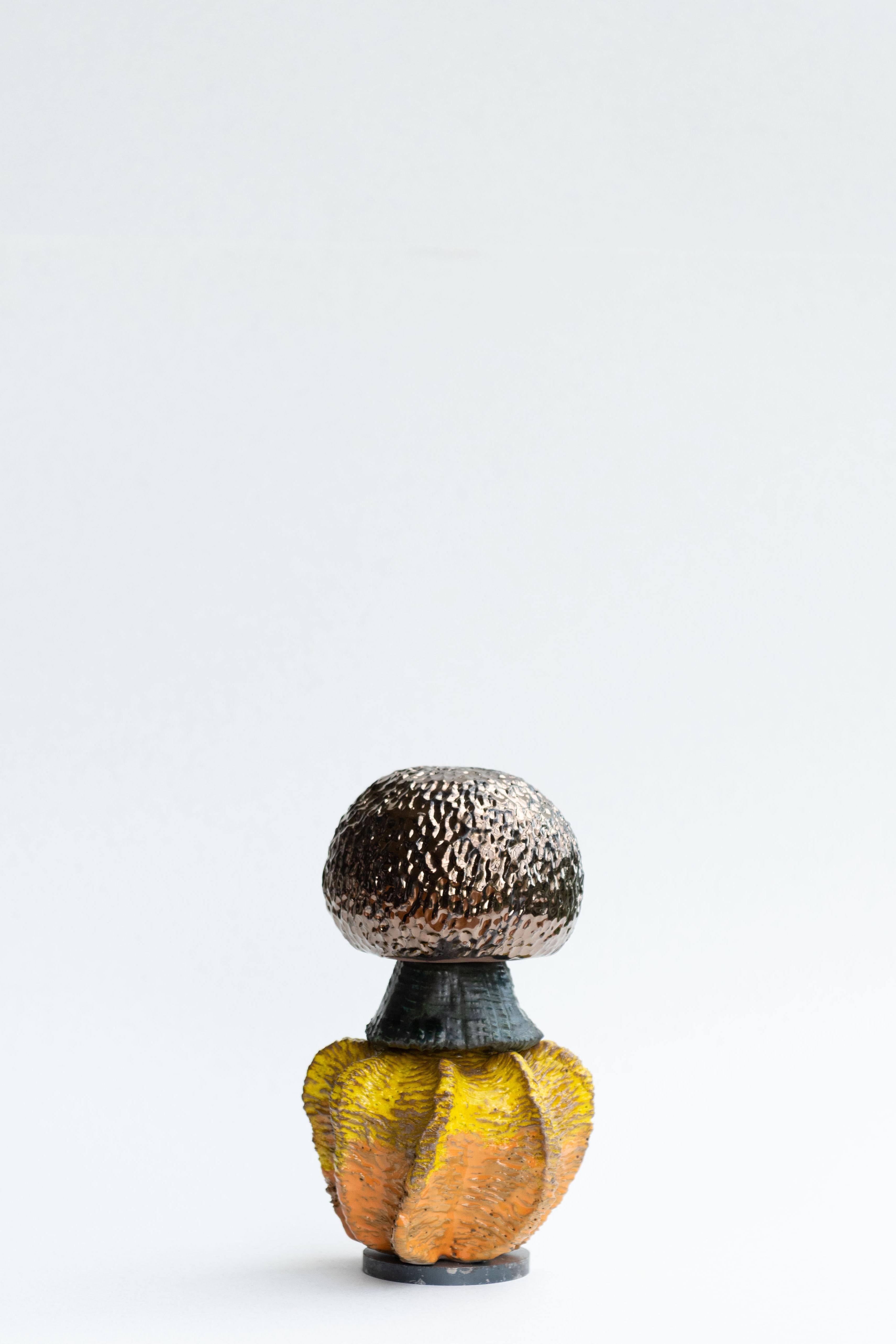 Scultura FUNGHI 21 di Zanellazine Ceramics
Dimensioni: L 14 x H 22 cm
Materiali: Argilla rossa, argilla semirefrattaria rosa.

Circa:
Giovanna Zighetti, ceramista e scenografa, e Lucia Zamberletti, consulente di moda, sono rispettivamente zia e