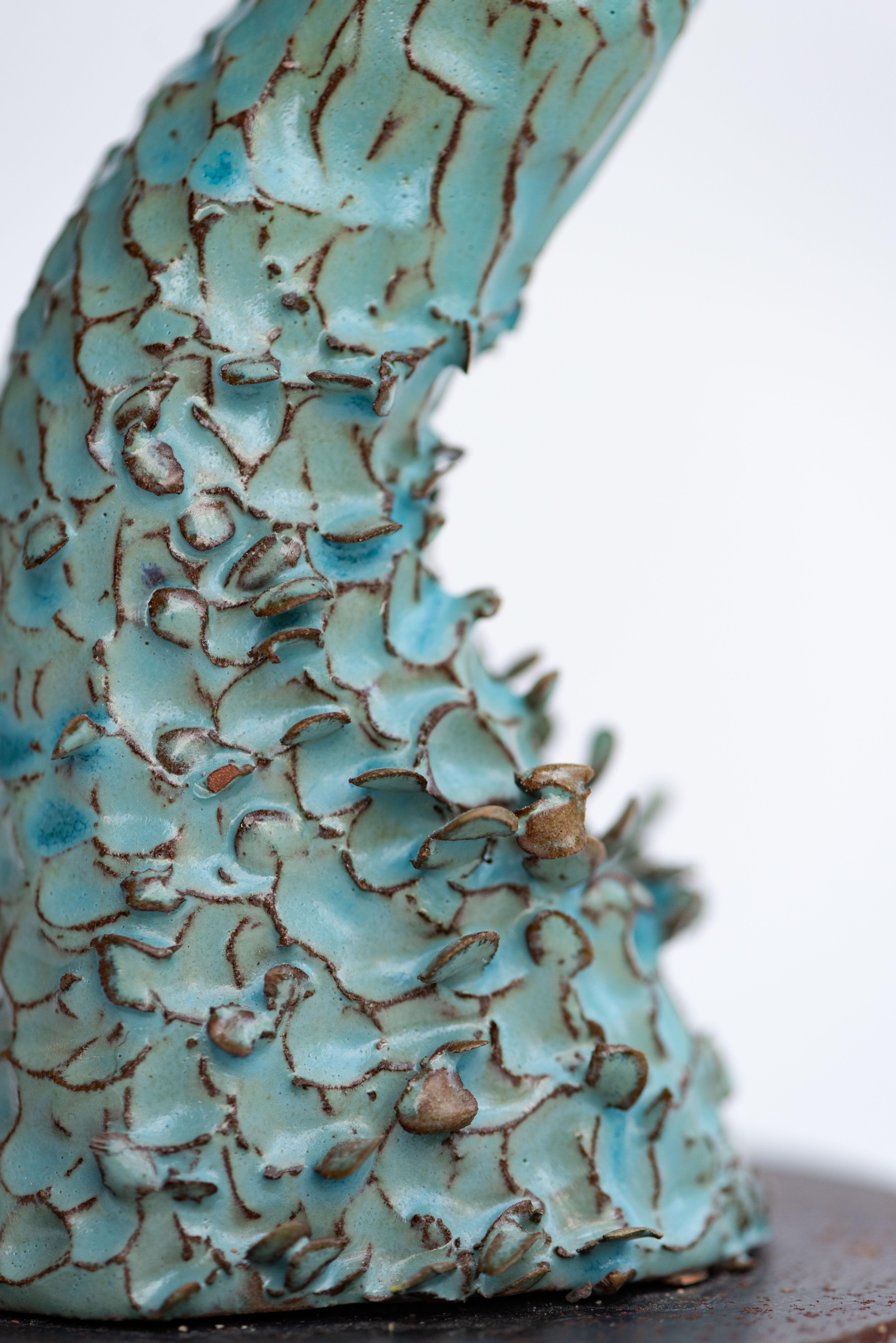 XXI secolo e contemporaneo Scultura FUNGHI 22 di Zanellazine Ceramics in vendita