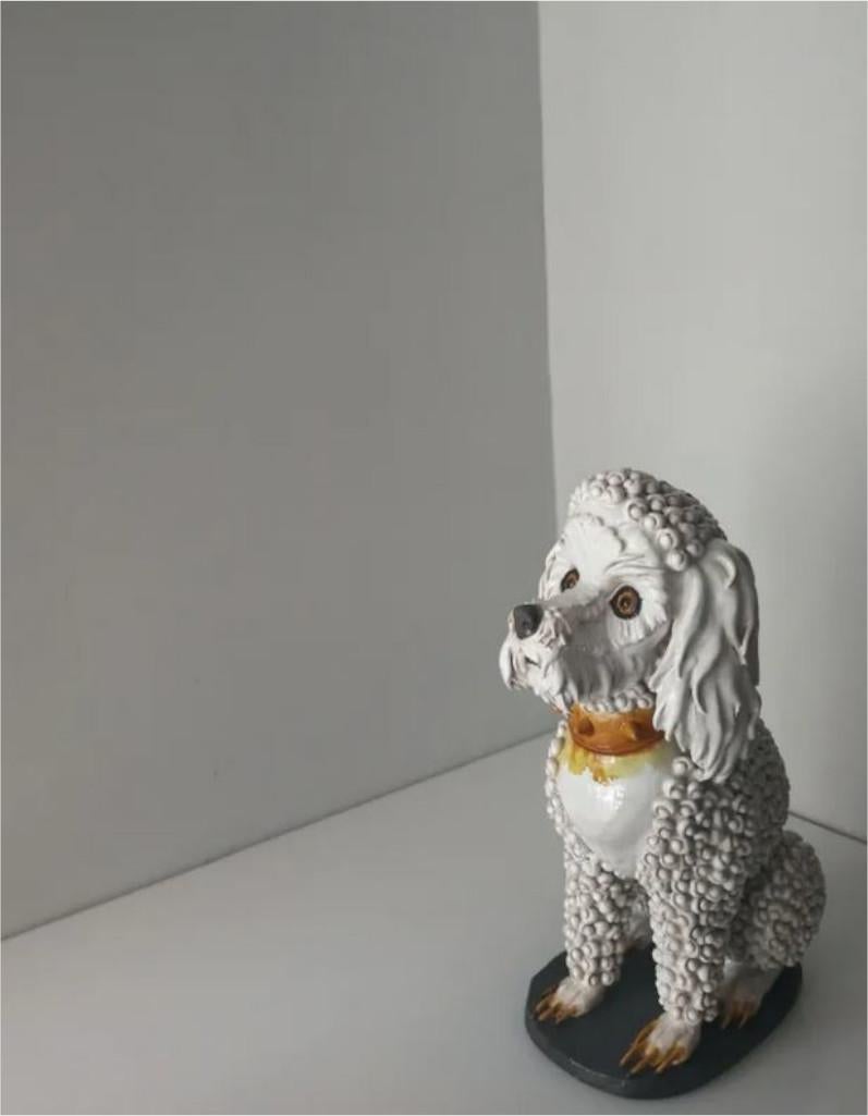 Beautiful and exclusive enameled ceramic that represents a dog with an intense look, an incredible curly coat and enormous nails that make it an extremely rare and unique work. Sealed at the base.