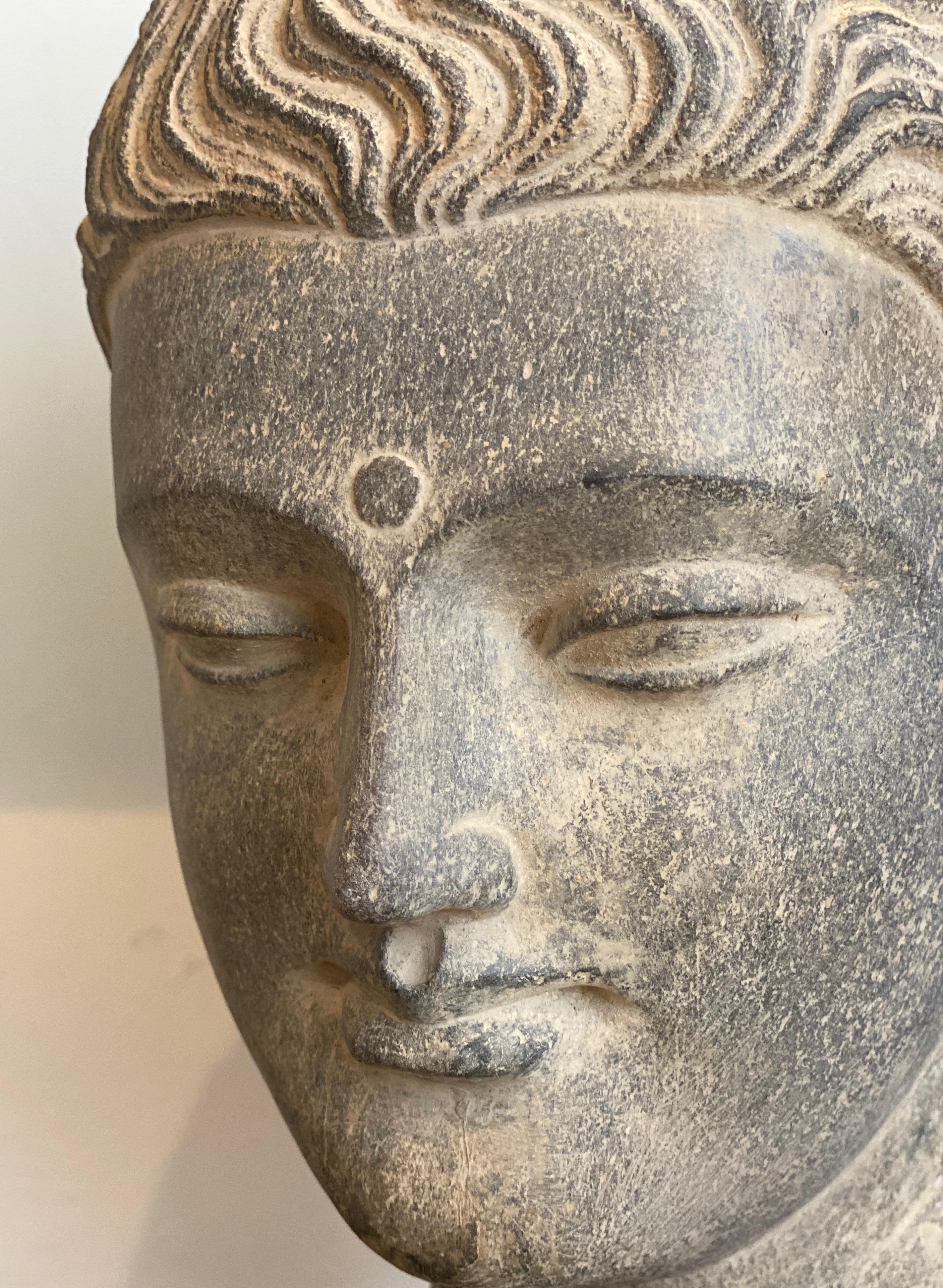Pakistani Sculpture Head of Buddha