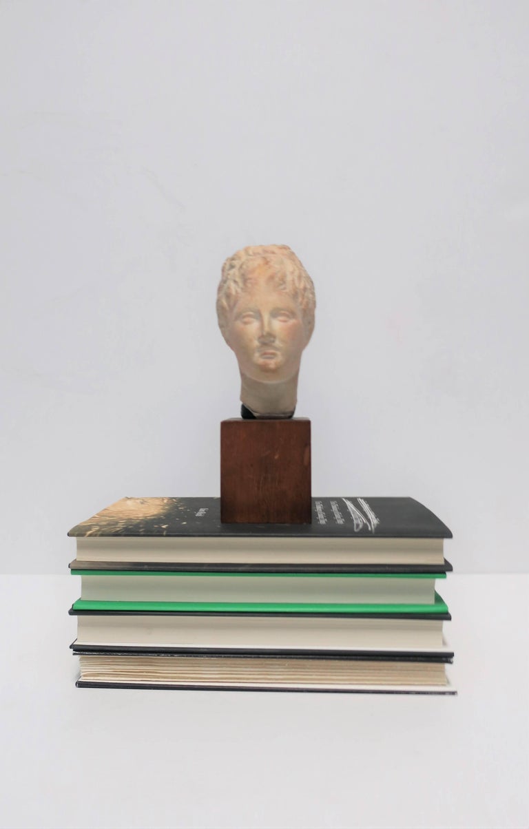 English Sculpture Head or Bust at 1stDibs