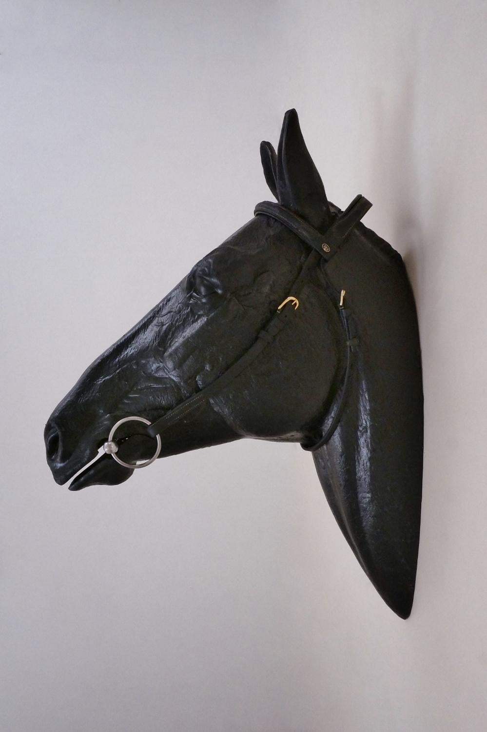 horse head bridle display