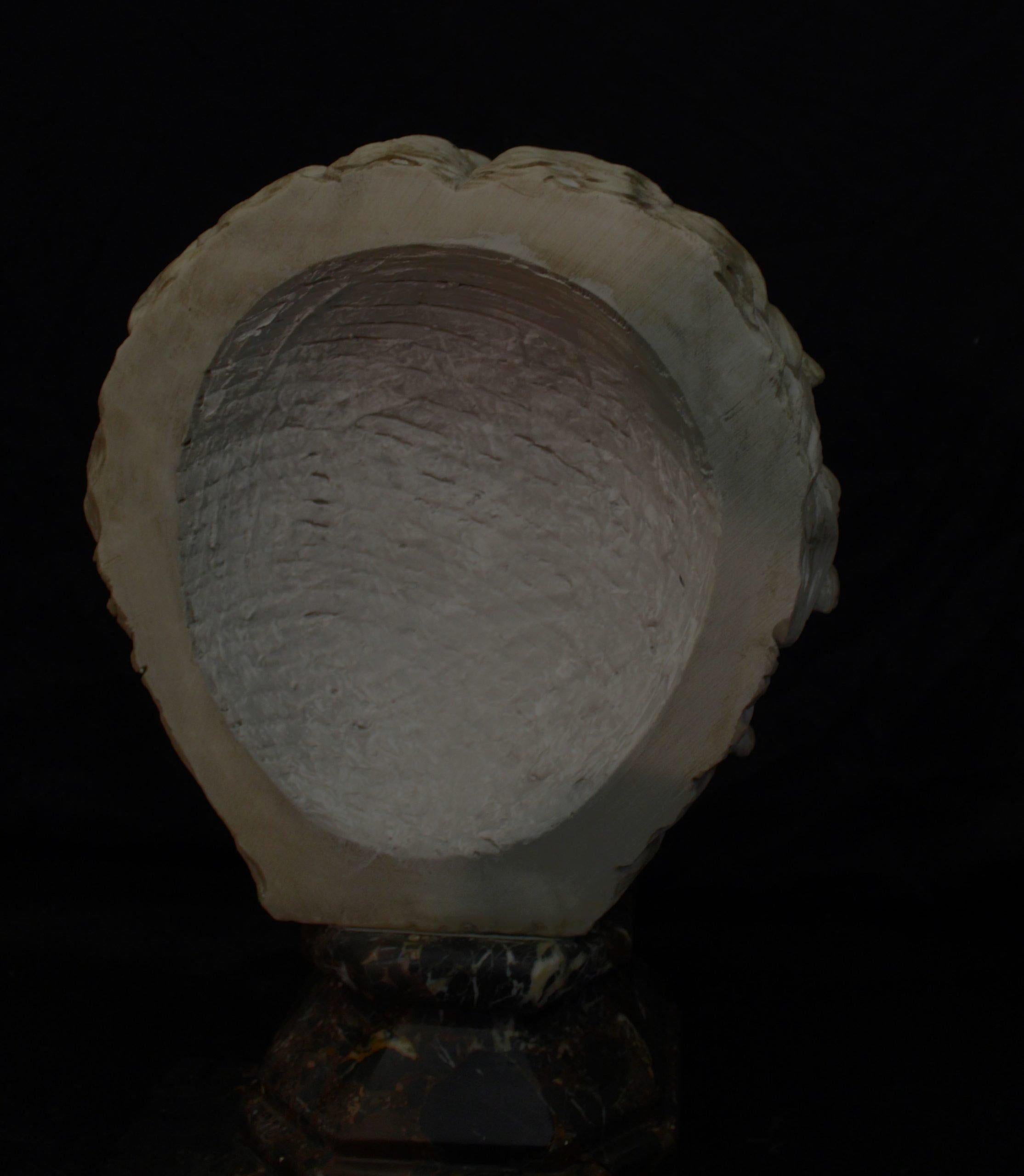 Sculpture in Carrara marble, Medusa, marble bust of medusa Rondanini ...
