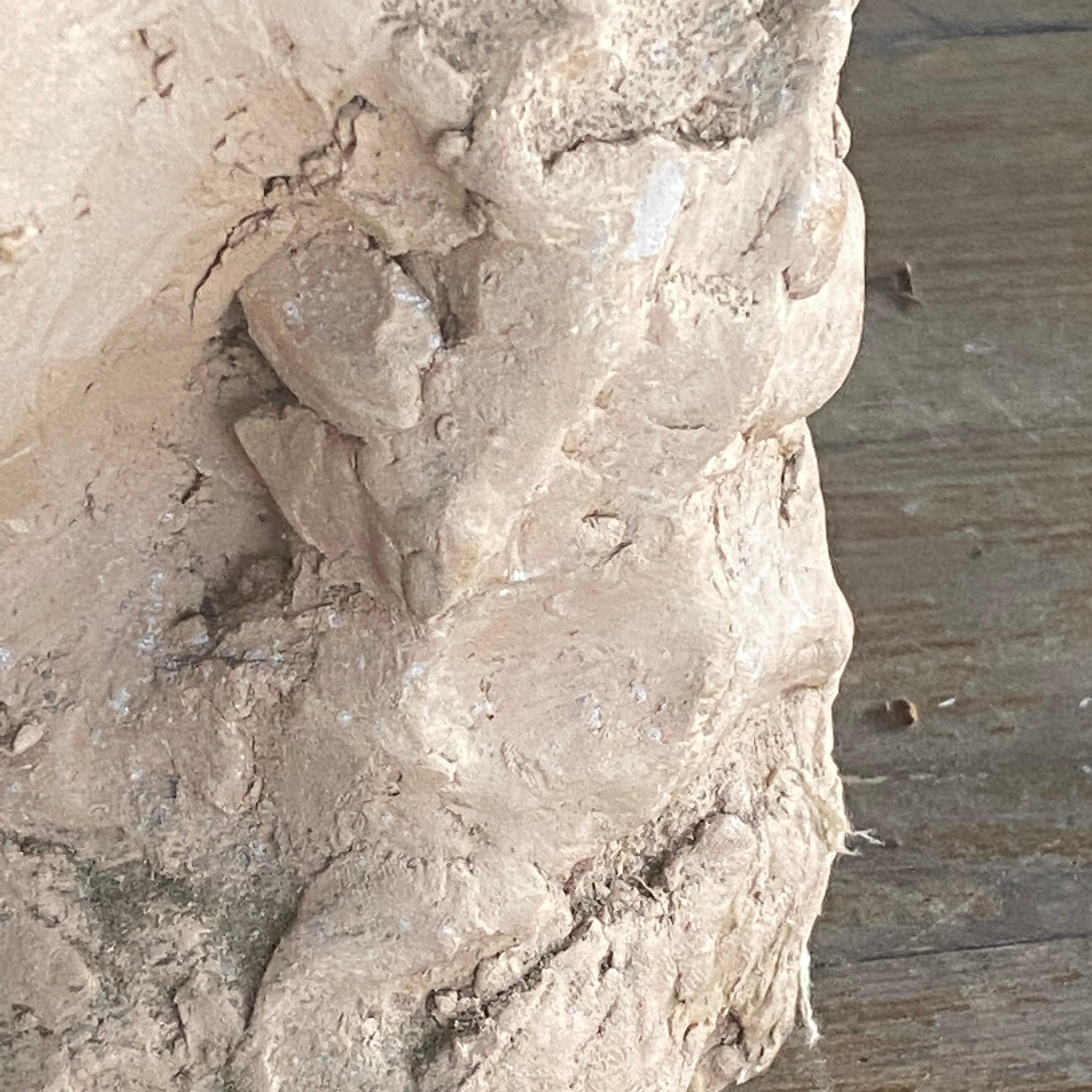 Sculpture in Terracotta, France XX Century, Representing Women Head In Good Condition For Sale In Auribeau sur Siagne, FR