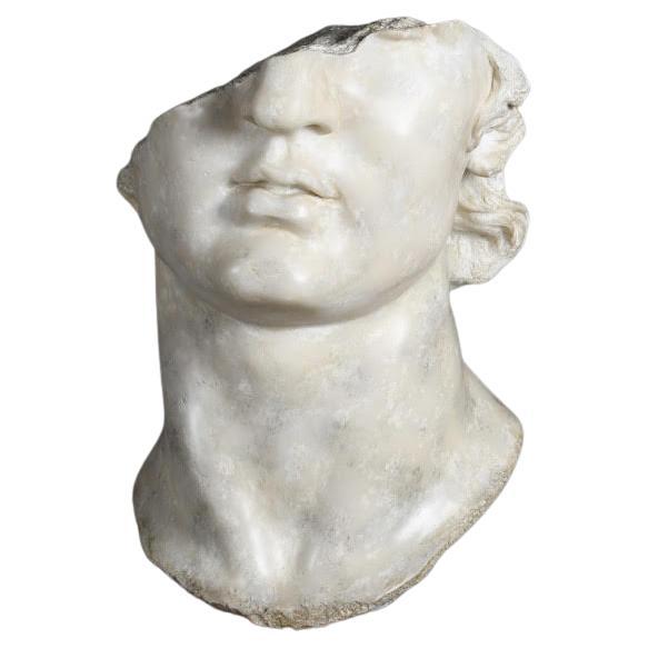Scultura di una testa di Apollo in stile ellenistico, XXI secolo.

Scultura su base di una testa di Apollo, in gesso patinato e resina, XXI secolo.

H: 65cm, L: 52cm, P: 50cm