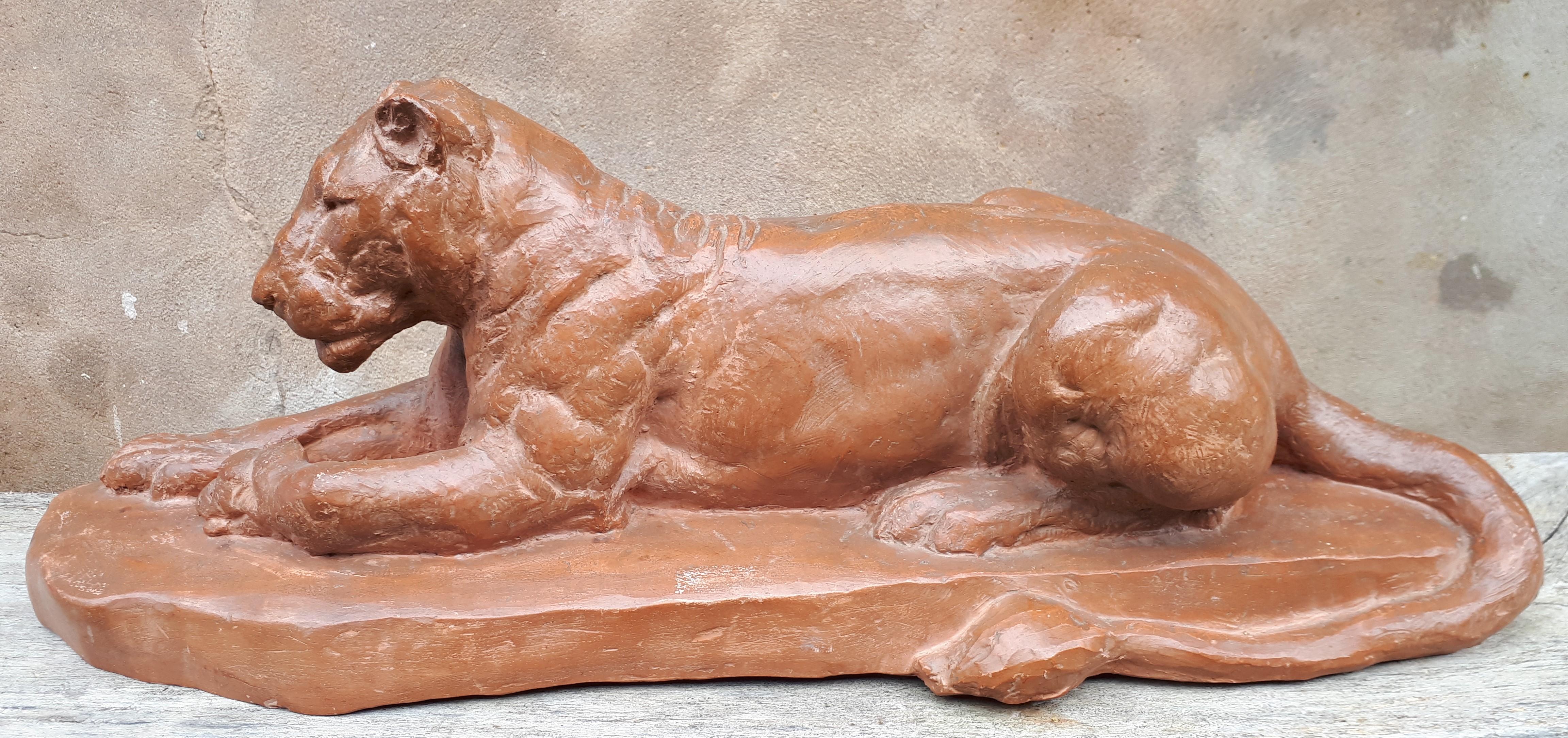 Patinated terracotta animal sculpture representing a reclining lioness.
Signature of the artist 
