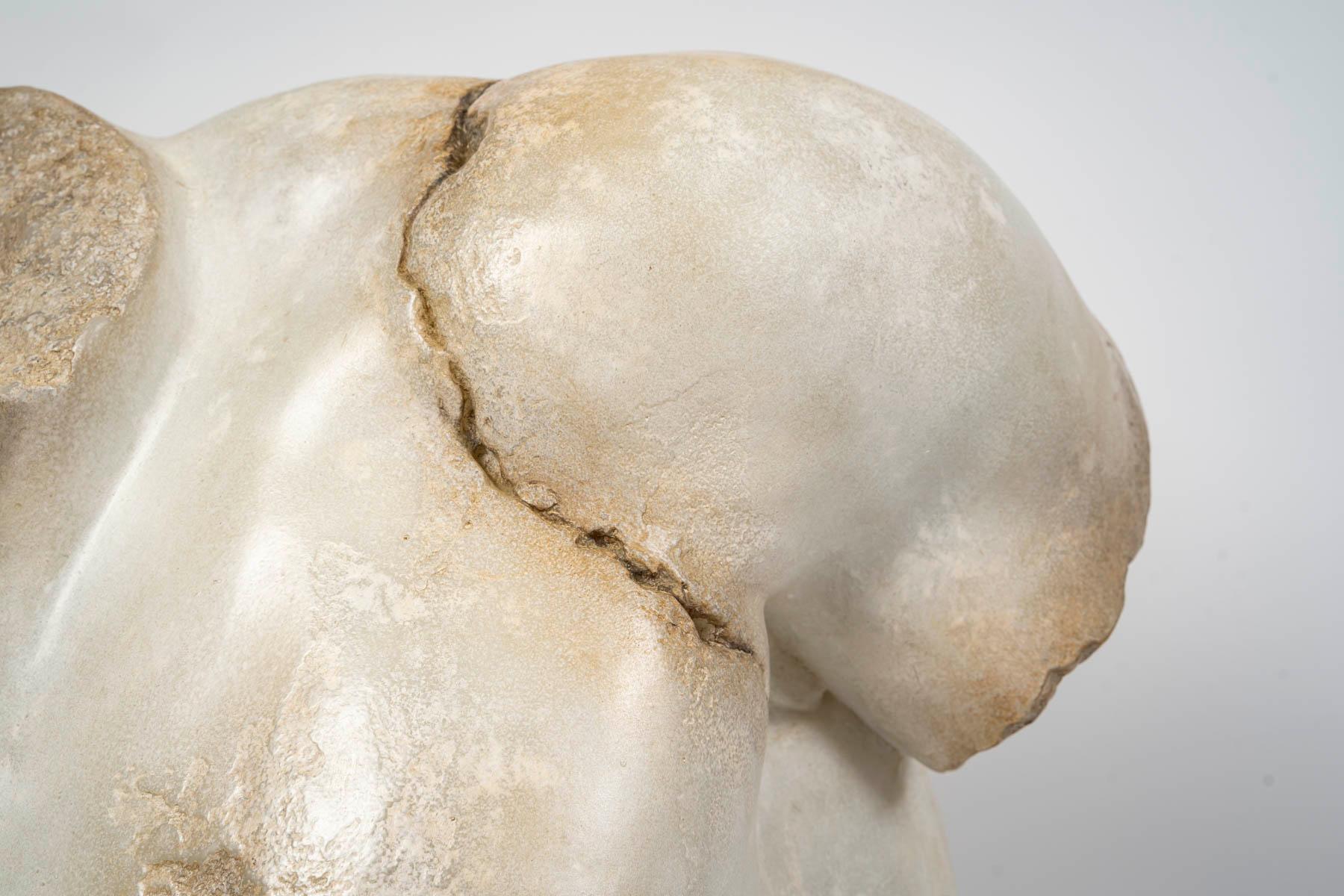 Skulptur eines männlichen Torso im hellenistischen Stil, 21. Jahrhundert. (Französisch) im Angebot
