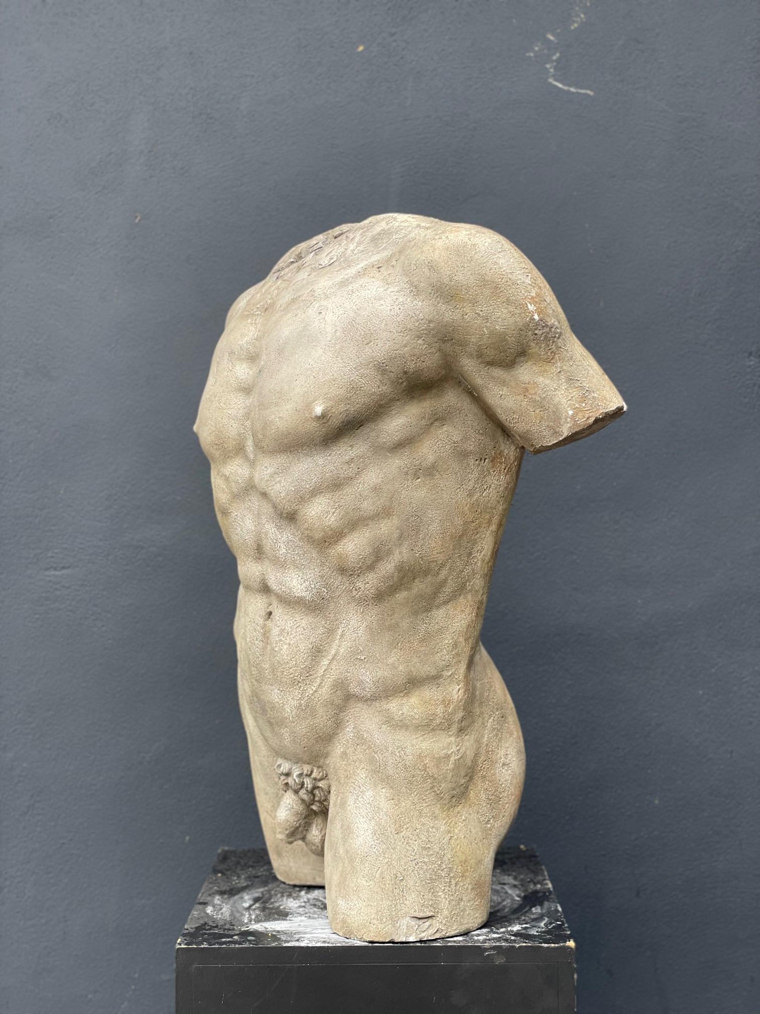 Copie en plâtre d'un torse masculin musclé.

Il s'agit d'une superbe pièce décorative pour votre maison ou votre projet d'intérieur, ou pour quelqu'un qui cherche à commencer une collection.
 