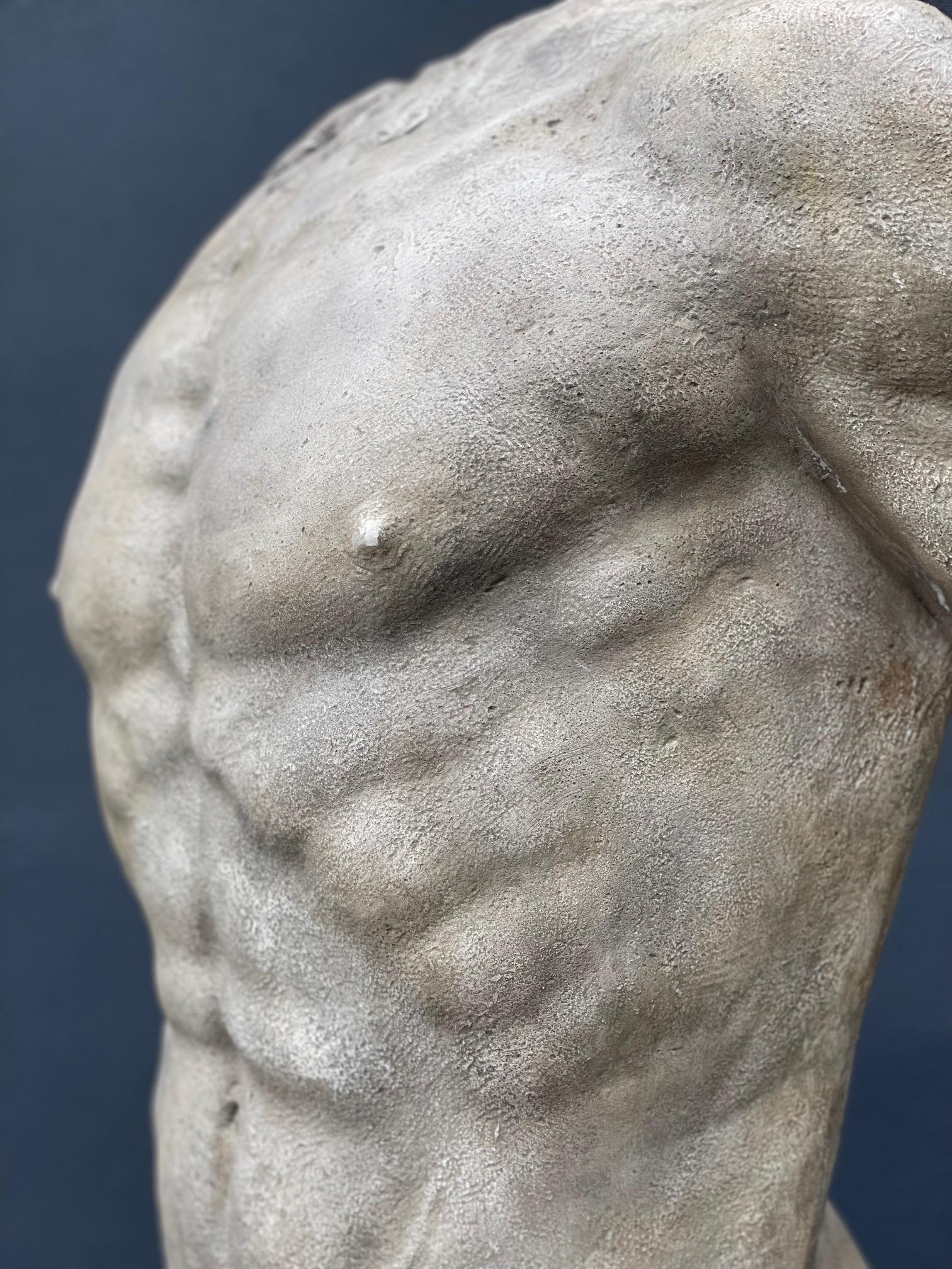 British Sculpture of a Plaster Torso For Sale