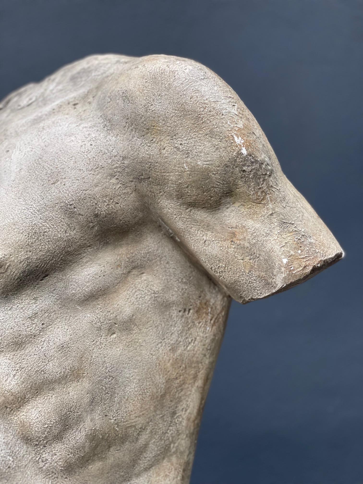 Sculpture of a Plaster Torso In New Condition For Sale In Bagshot, GB