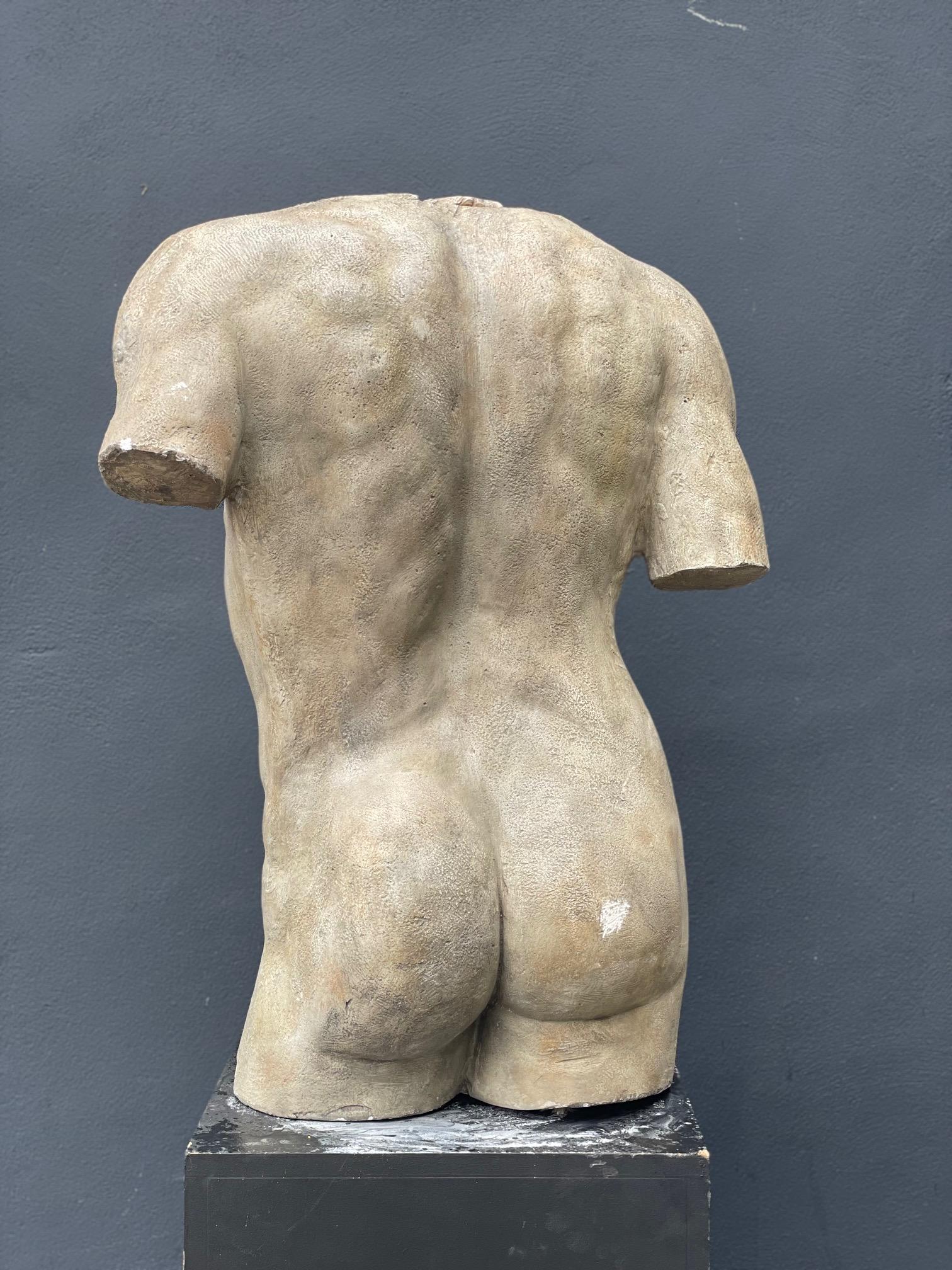 Skulptur eines Gipstorso aus Gips (21. Jahrhundert und zeitgenössisch) im Angebot