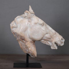 Sculpture of a White Horse's Head, big size.