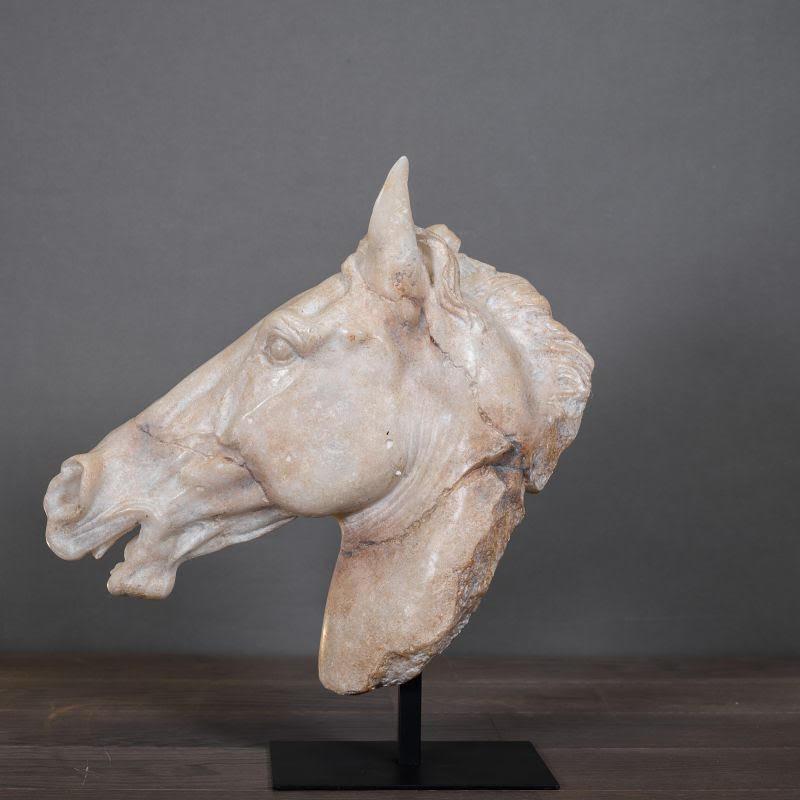 Francese Scultura di una testa di cavallo bianca, di grandi dimensioni. in vendita