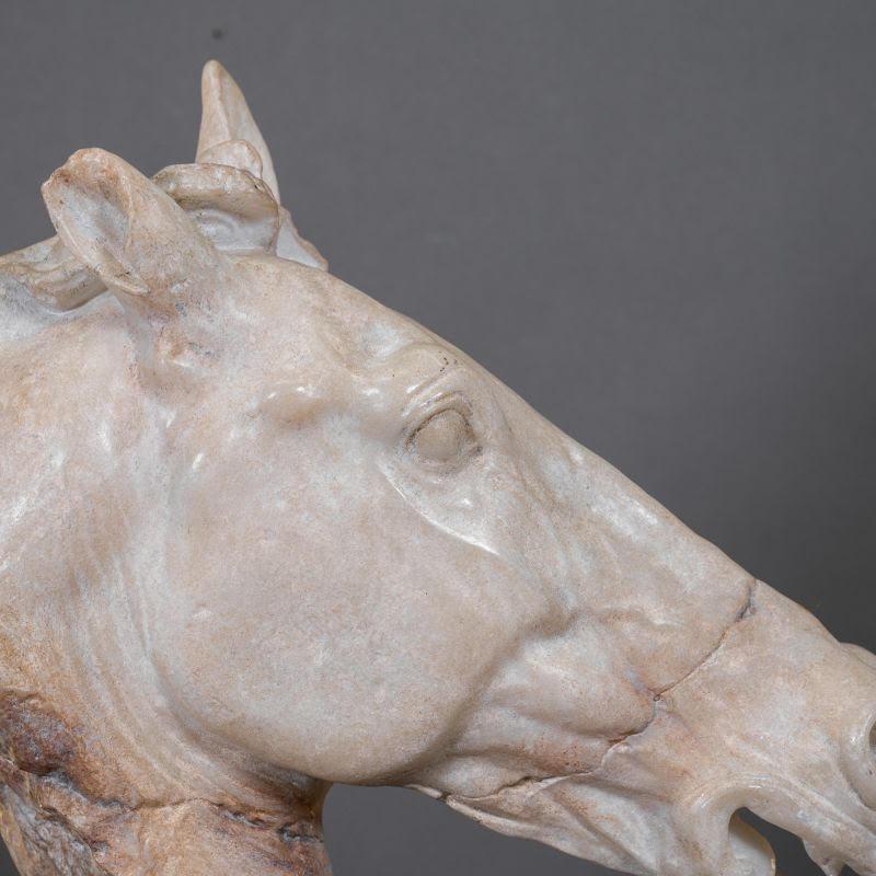 Scultura di una testa di cavallo bianca, di grandi dimensioni. In condizioni Nuovo in vendita a Saint-Ouen, FR