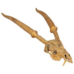 Scultura di corna di animali in bronzo dorato
