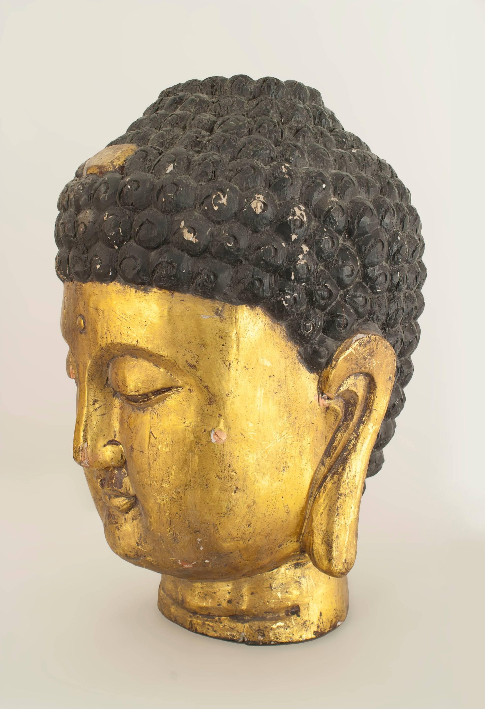 Sculpture of Asian Chinese style large carved bust (head) of Buddha with carved black hair.

 