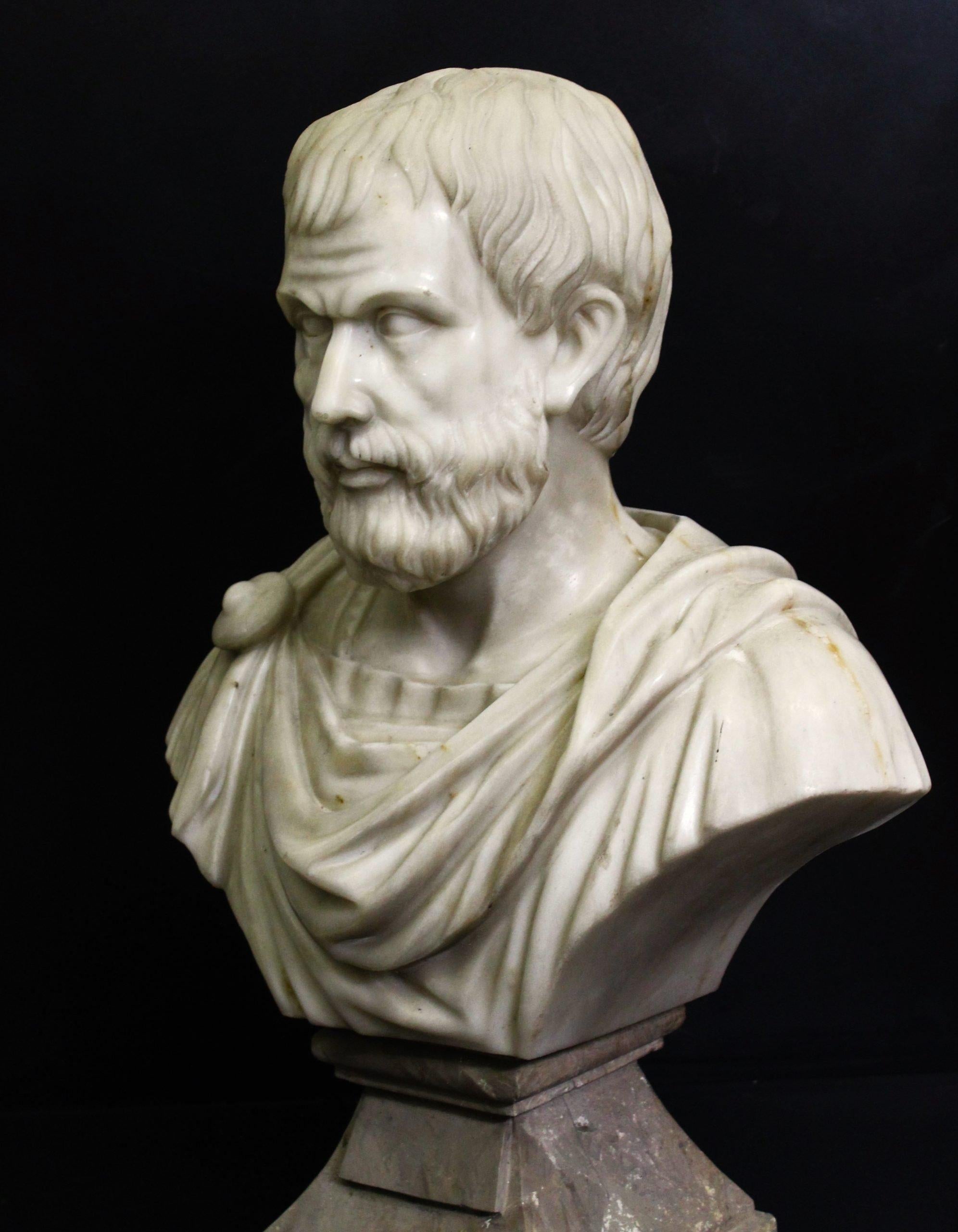 Sculpture of Hippocrates,marble.Sculpture of Hippocrates, marble sculpture, Hippocrates, Carrara marble bust  ADDITIONAL PHOTOS, INFORMATION OF THE LOT AND QUOTE FOR SHIPPING COST CAN BE REQUEST BY SENDING AN EMAIL. ULTERIORI FOTO, INFORMAZIONI SUL