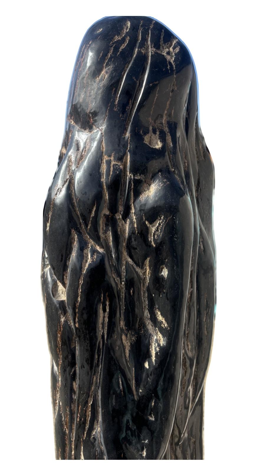 Legno pietrificato e mineralizzato lucidato e modellato con abrasivi diamantati per ottenere una 