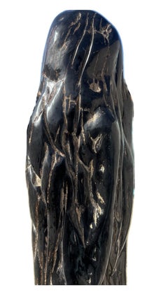 Scultura di Wood pietrificato