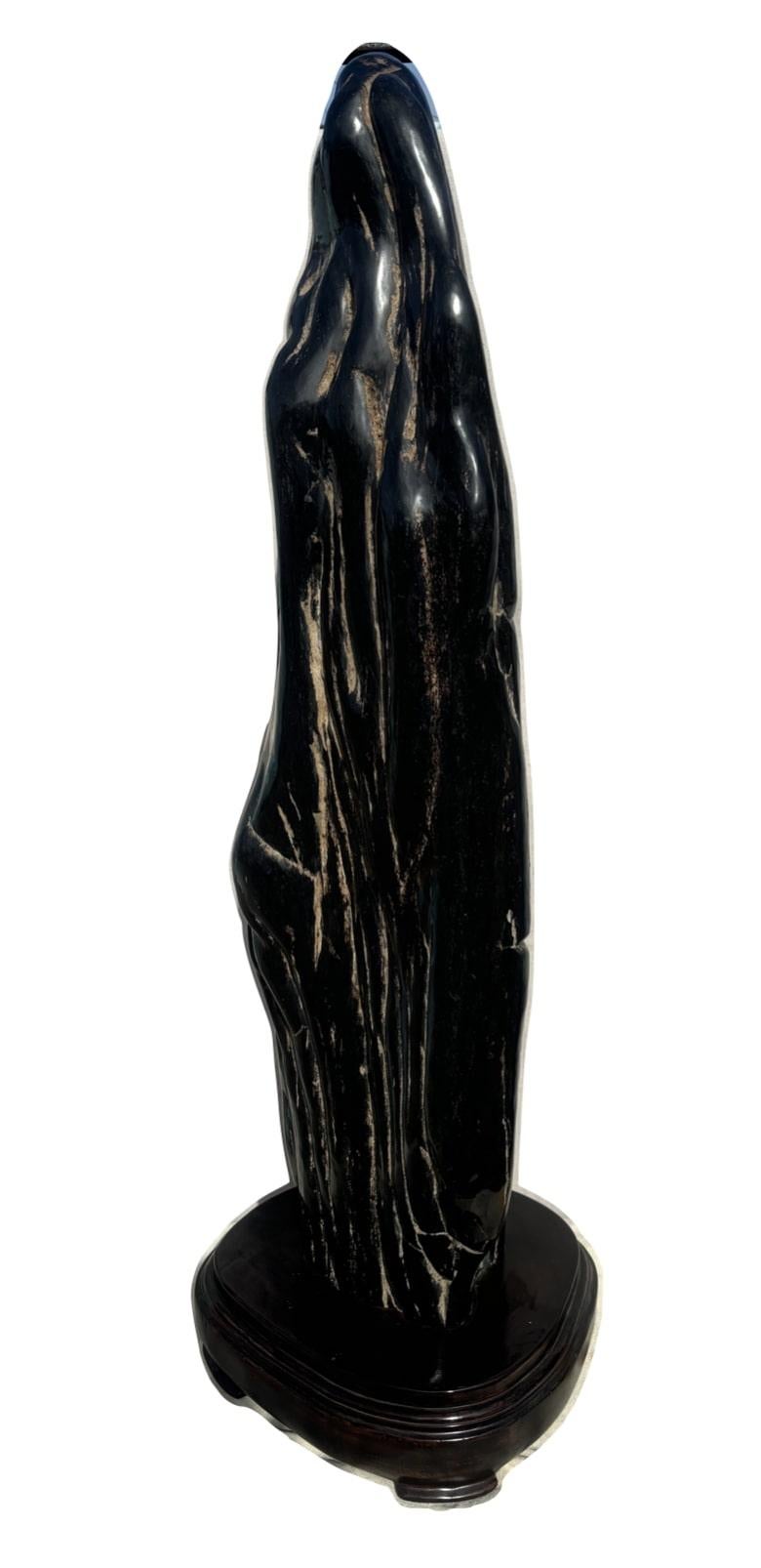 Organico moderno Scultura di Wood pietrificato in vendita