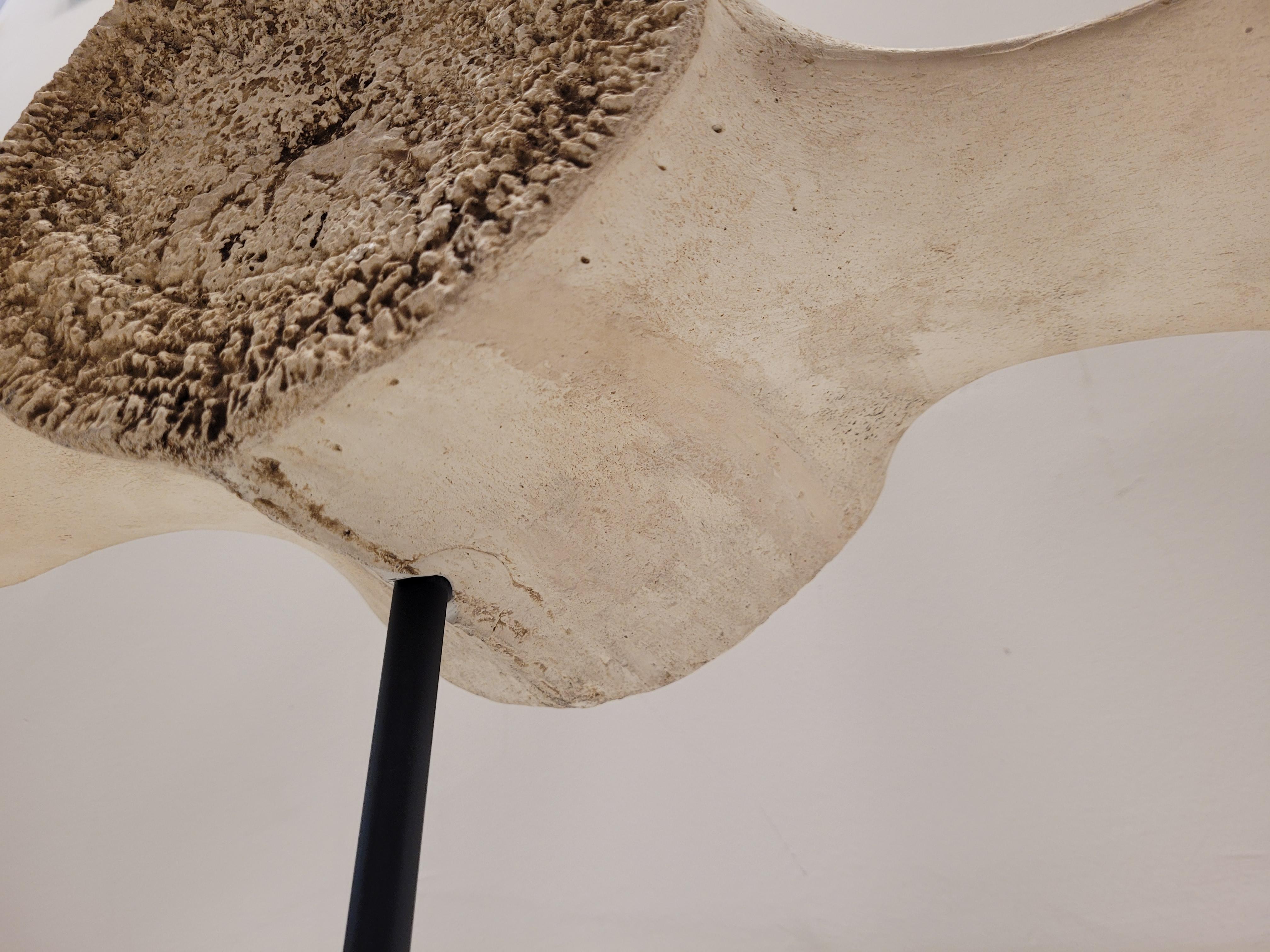 Scultura di vertebra di balena in pietra, con supporto in ferro battuto, Roche Bobois in vendita 7