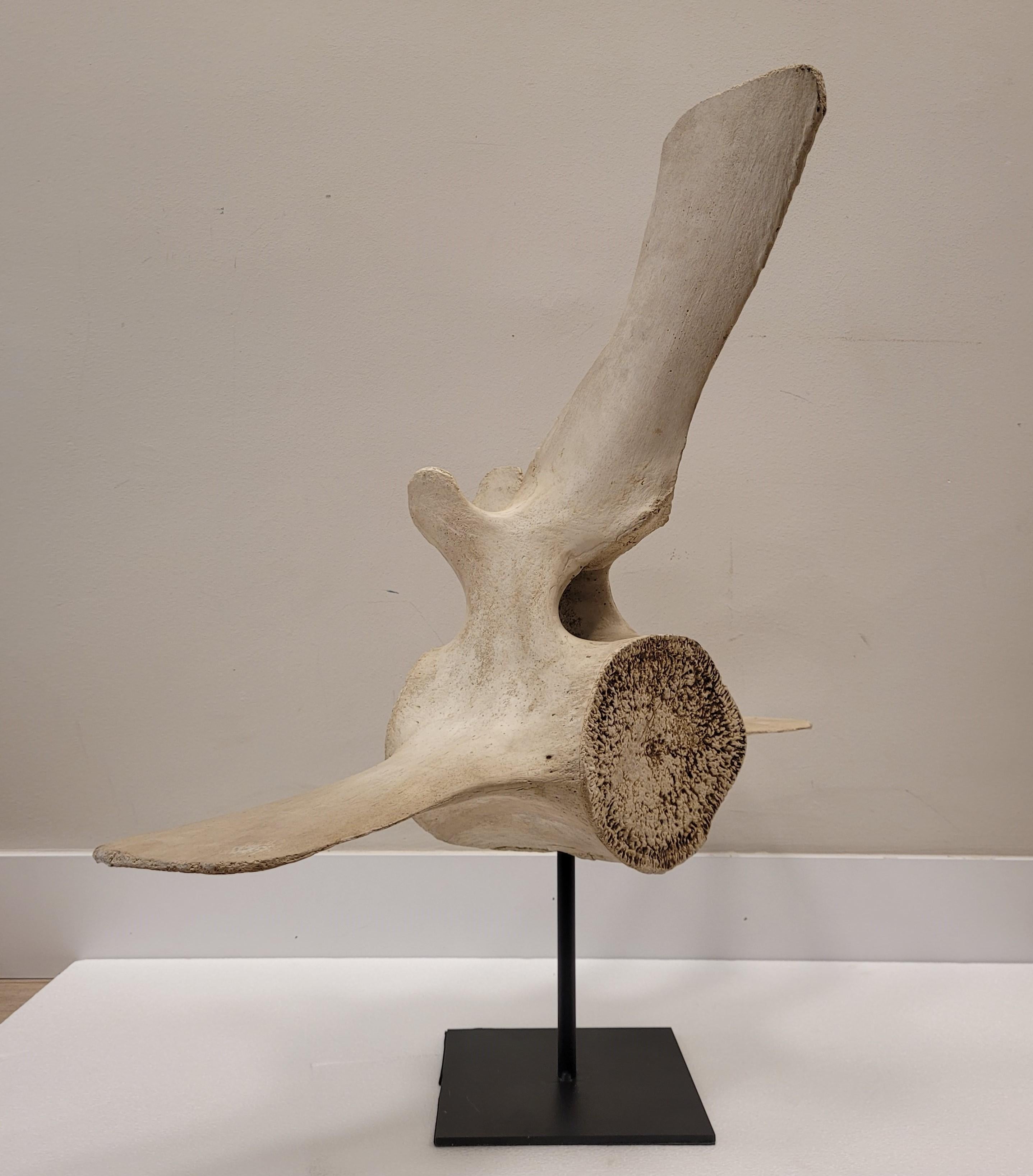 Skulptur eines Walfledermaus aus Stein, mit schmiedeeiserner Stütze, Roche Bobois (Französisch) im Angebot