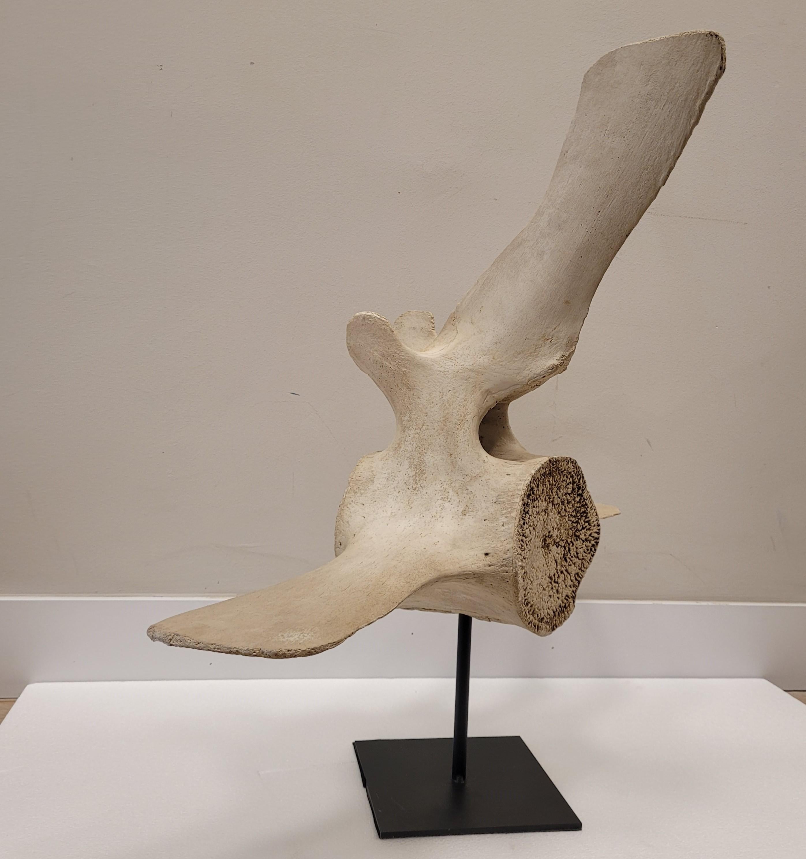 Skulptur eines Walfledermaus aus Stein, mit schmiedeeiserner Stütze, Roche Bobois (Handgefertigt) im Angebot