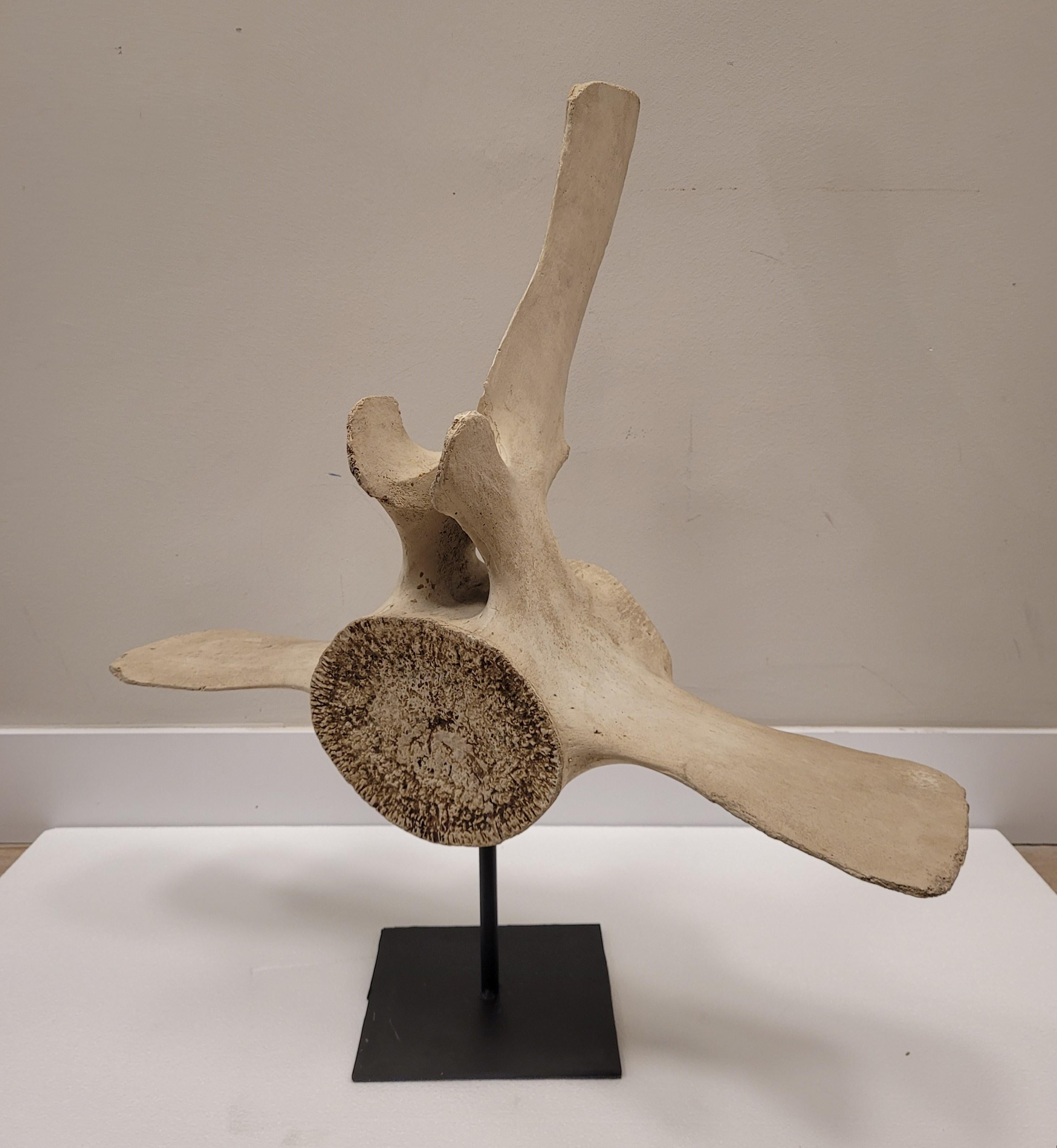 Skulptur eines Walfledermaus aus Stein, mit schmiedeeiserner Stütze, Roche Bobois im Angebot 1