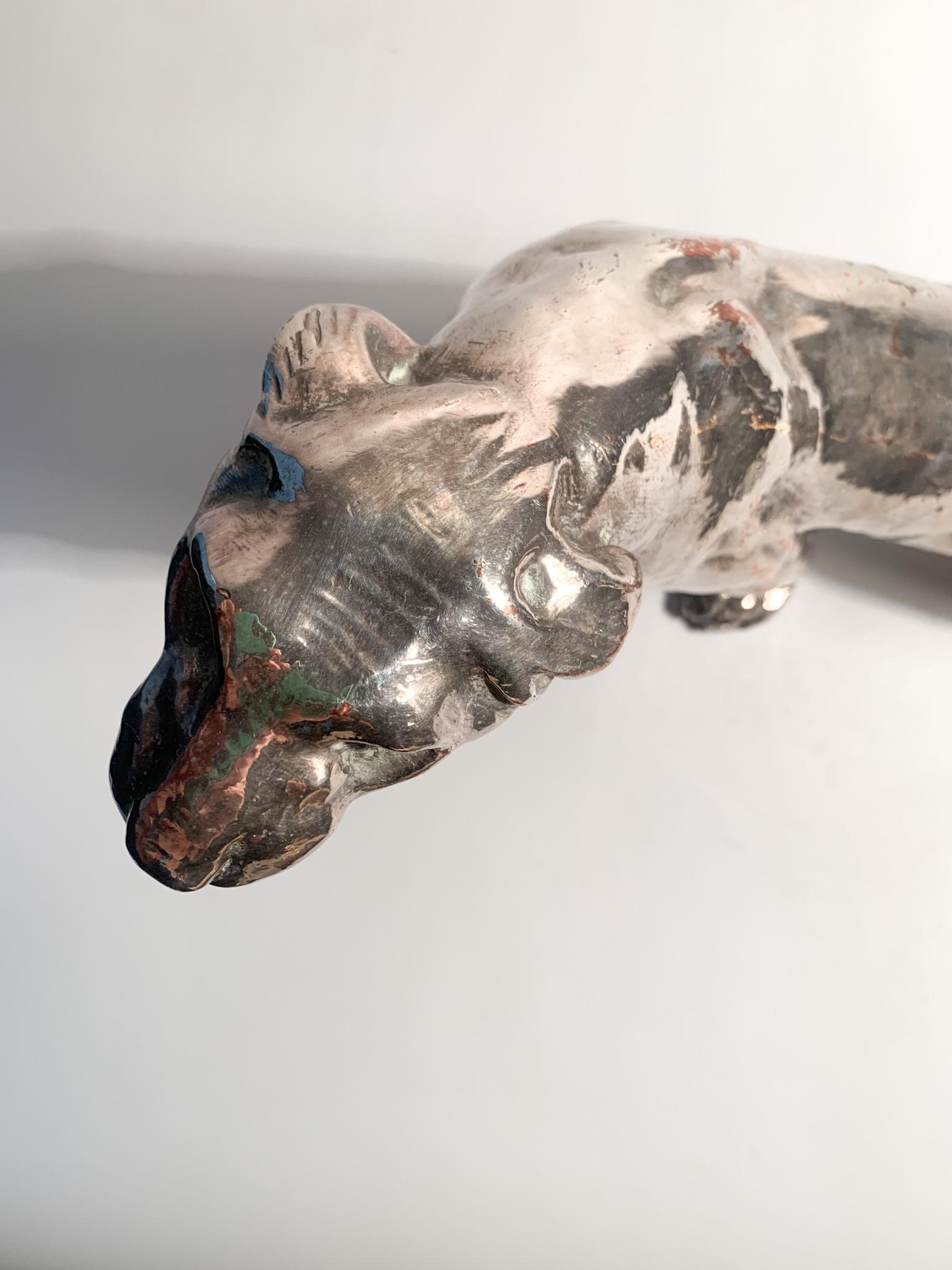 Sculpture of Wounded Panther in terracotta and Silver by Salvatore Cipolla 1950s For Sale 6
