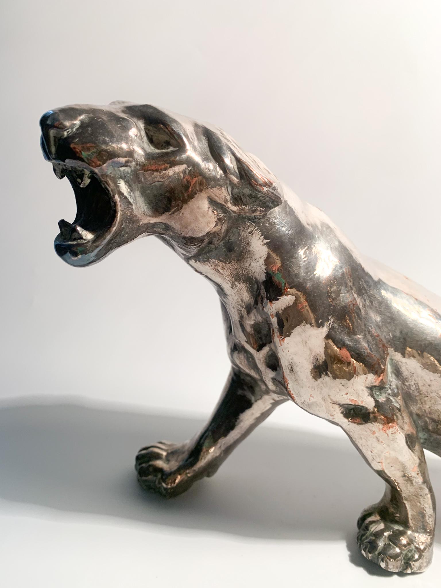 Italian Sculpture of Wounded Panther in terracotta and Silver by Salvatore Cipolla 1950s For Sale