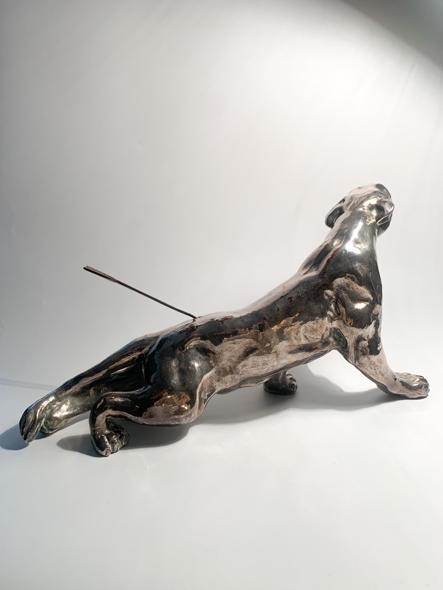 Sculpture of Wounded Panther in terracotta and Silver by Salvatore Cipolla 1950s For Sale 2