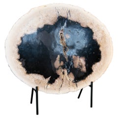 Sculpture on Iron Base of Palm Tree Transversal Cut Fossil