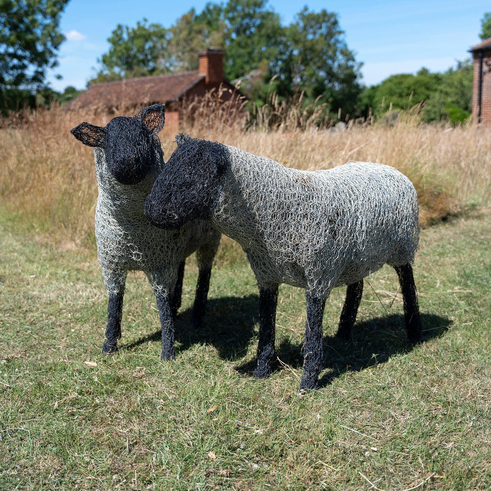 A Pair of Contemporary, Folk Art, Life-Size, Sheep, Wirework, Garden Sculptures

Hand-sculpted using multiple layers of painted galvanized wire in white and black.  Each sculpture is unique.  These sheep are very realistic and often mistaken for the