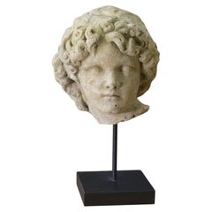 Scultura tête en pierre reconstituée taillée stile antico XIXème