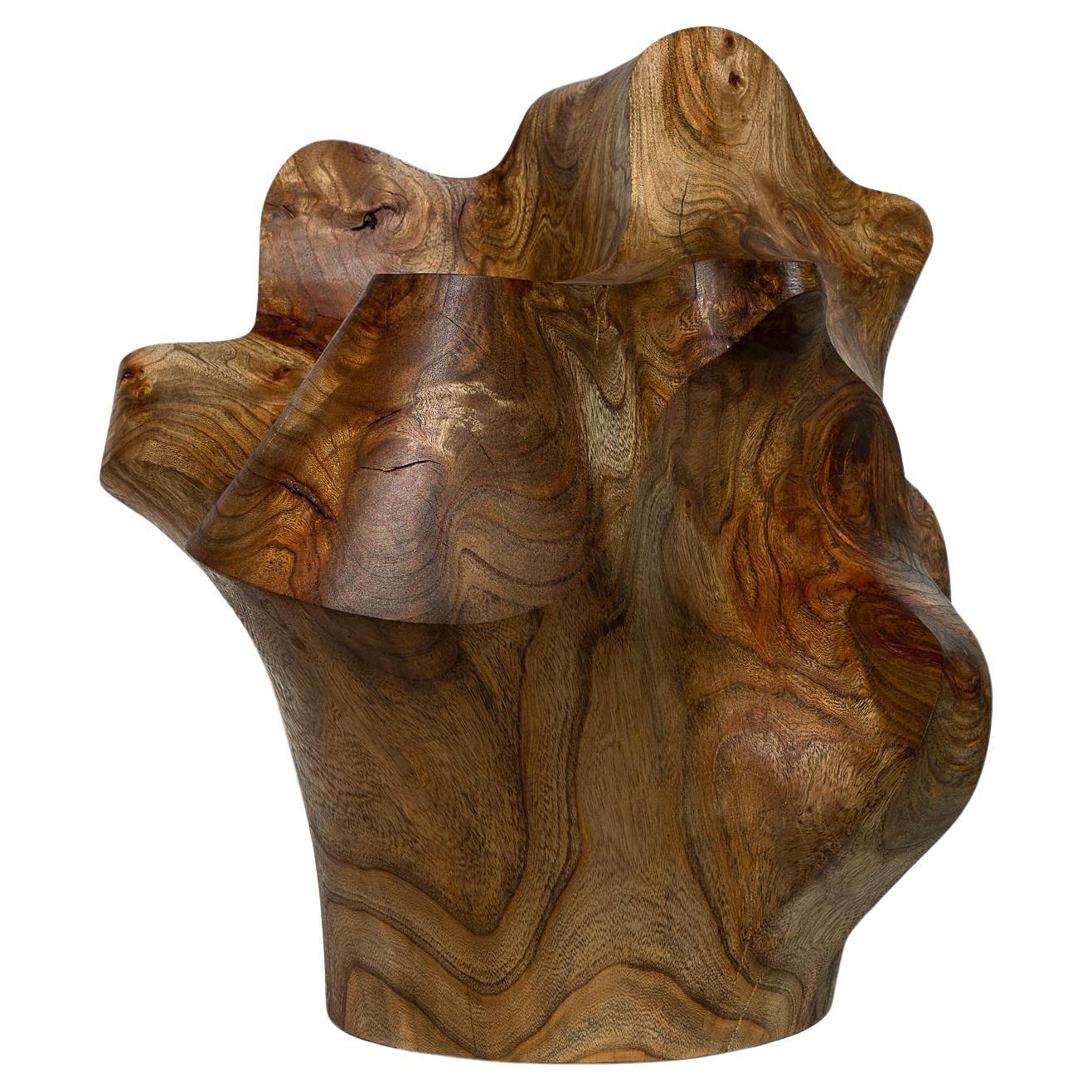 Sculpture The root by Touch With Eyes