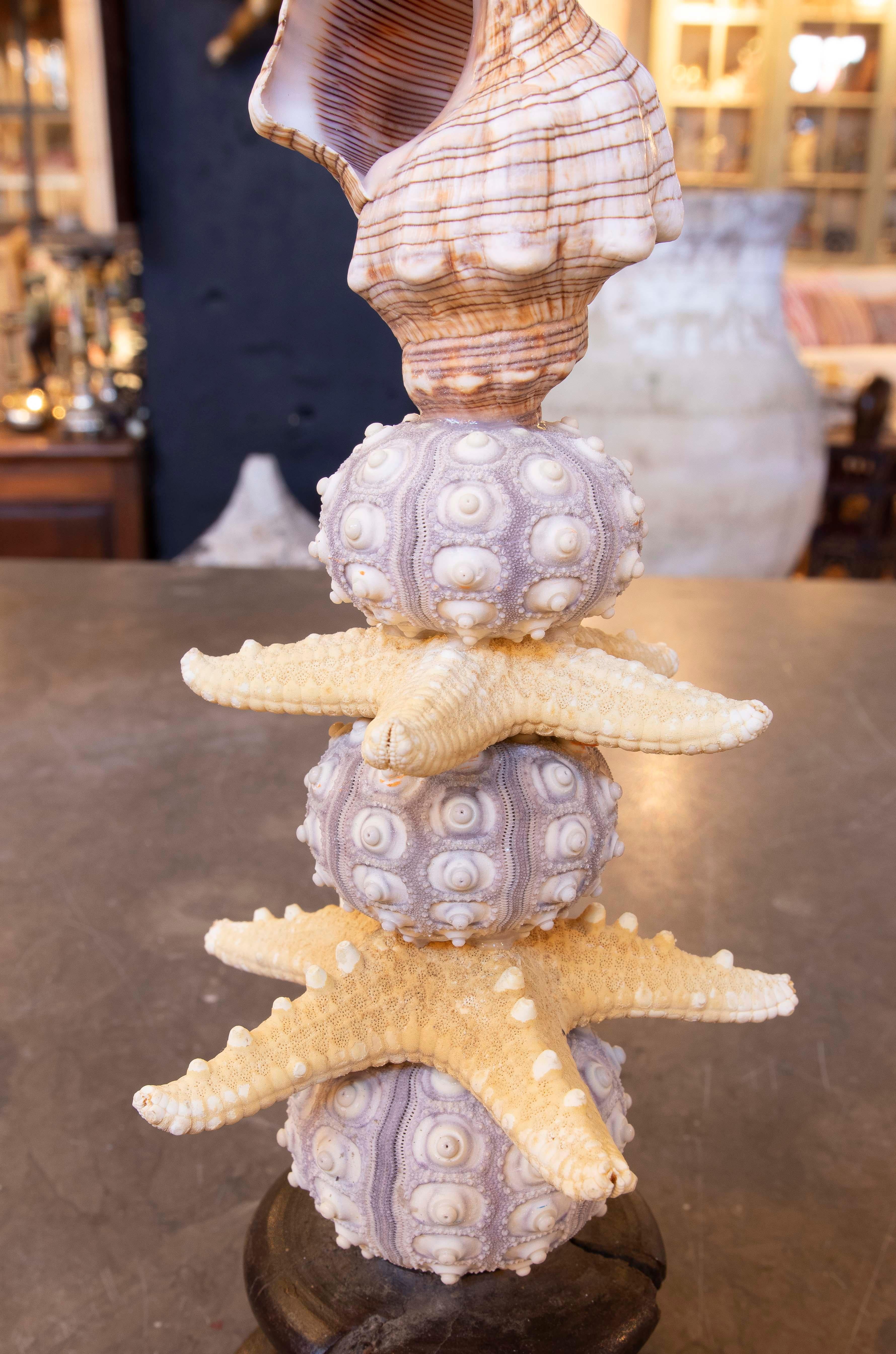 Sculpture with Seashell Assemblage and Antique brass Base For Sale 5