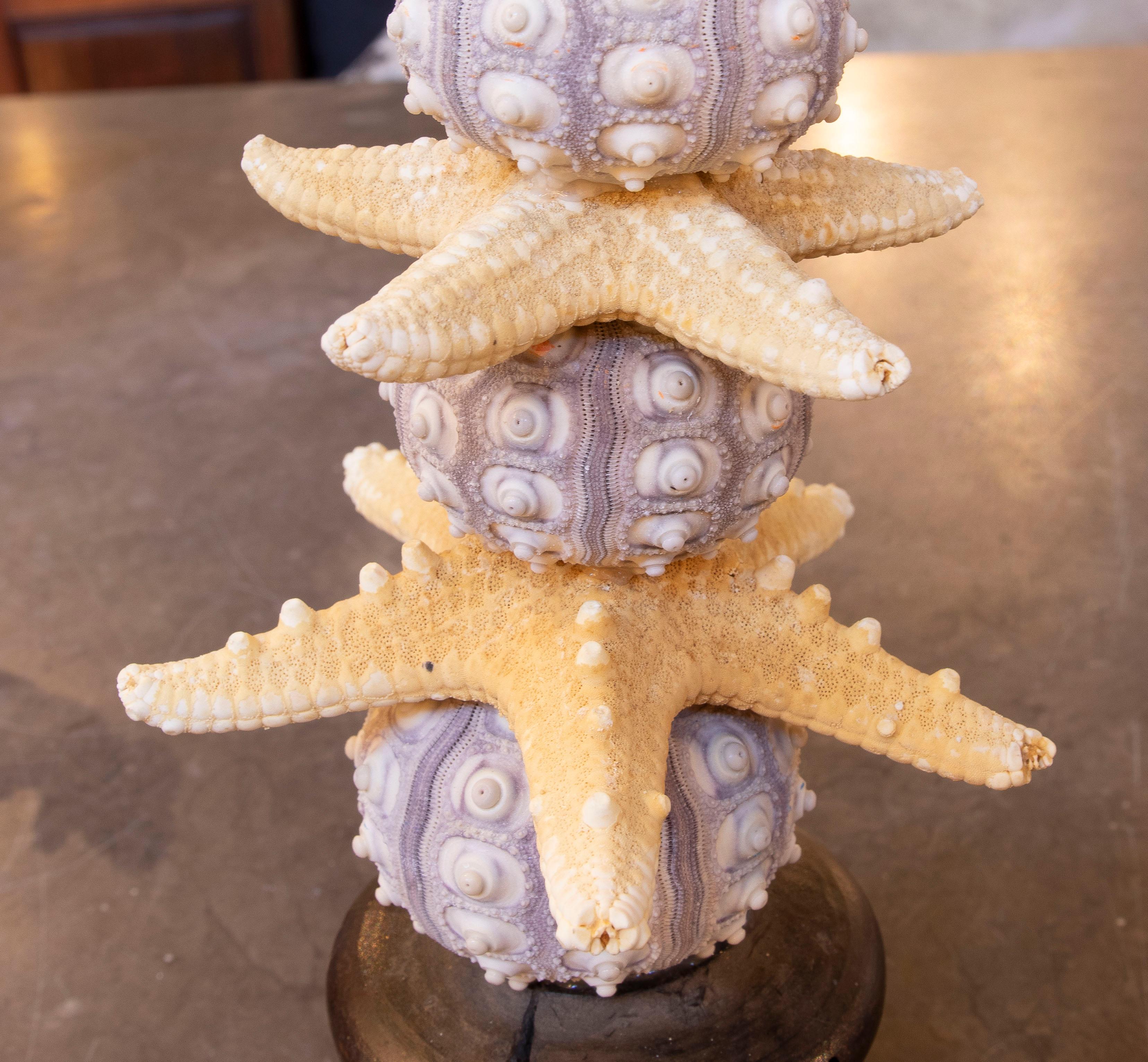 Sculpture with Seashell Assemblage and Antique brass Base For Sale 6