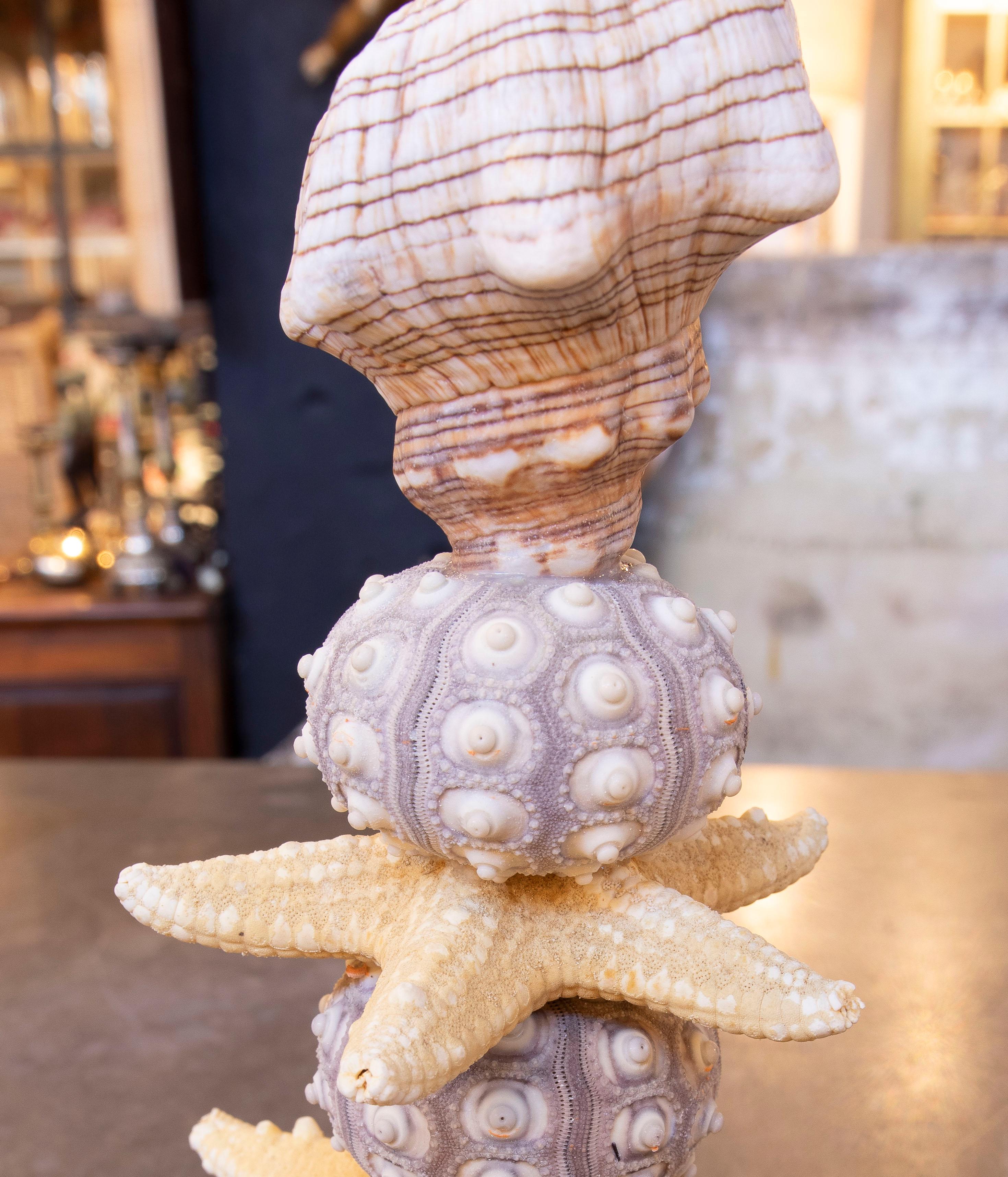 Sculpture with Seashell Assemblage and Antique brass Base For Sale 7