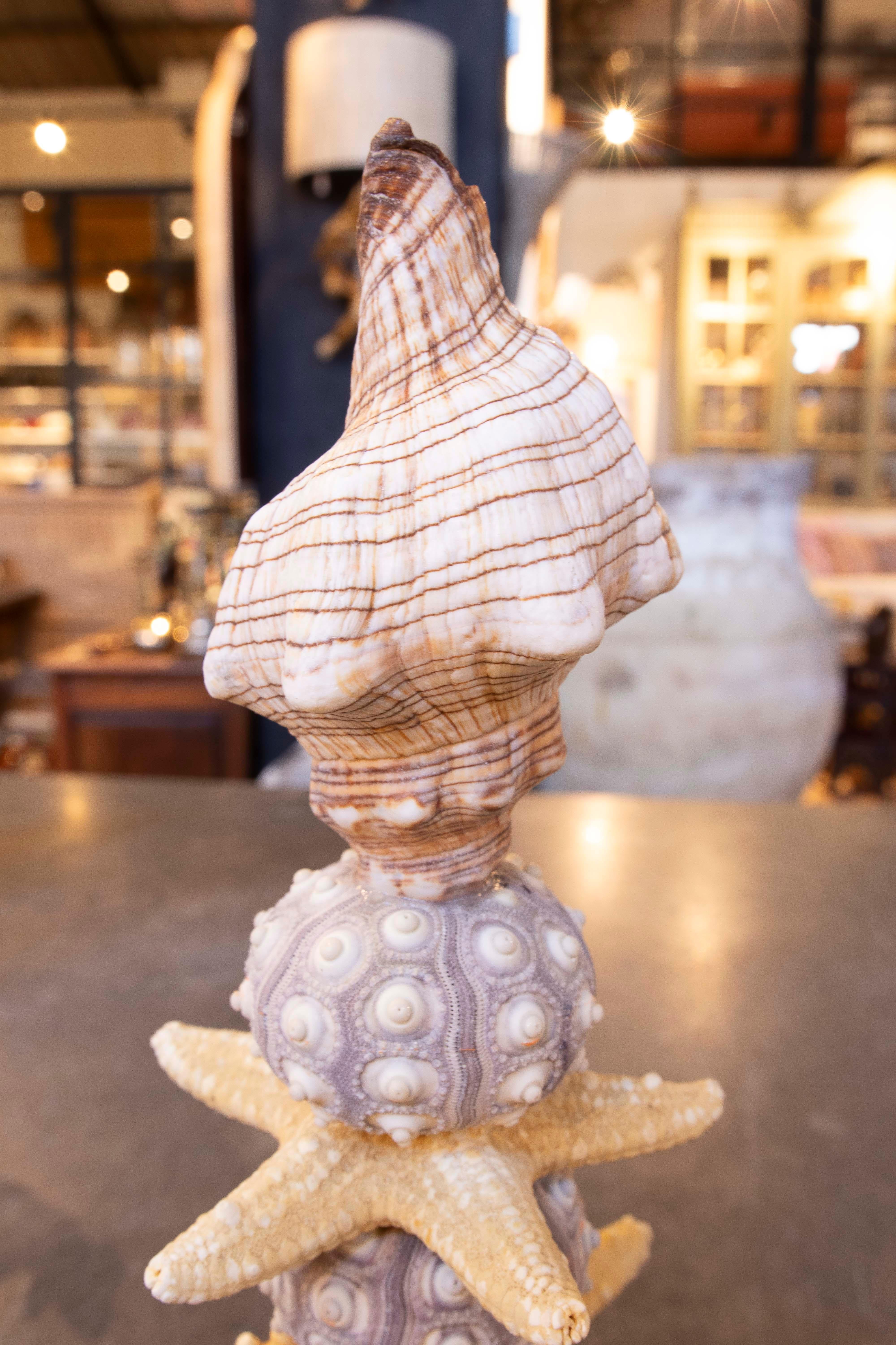 Sculpture with Seashell Assemblage and Antique brass Base For Sale 8