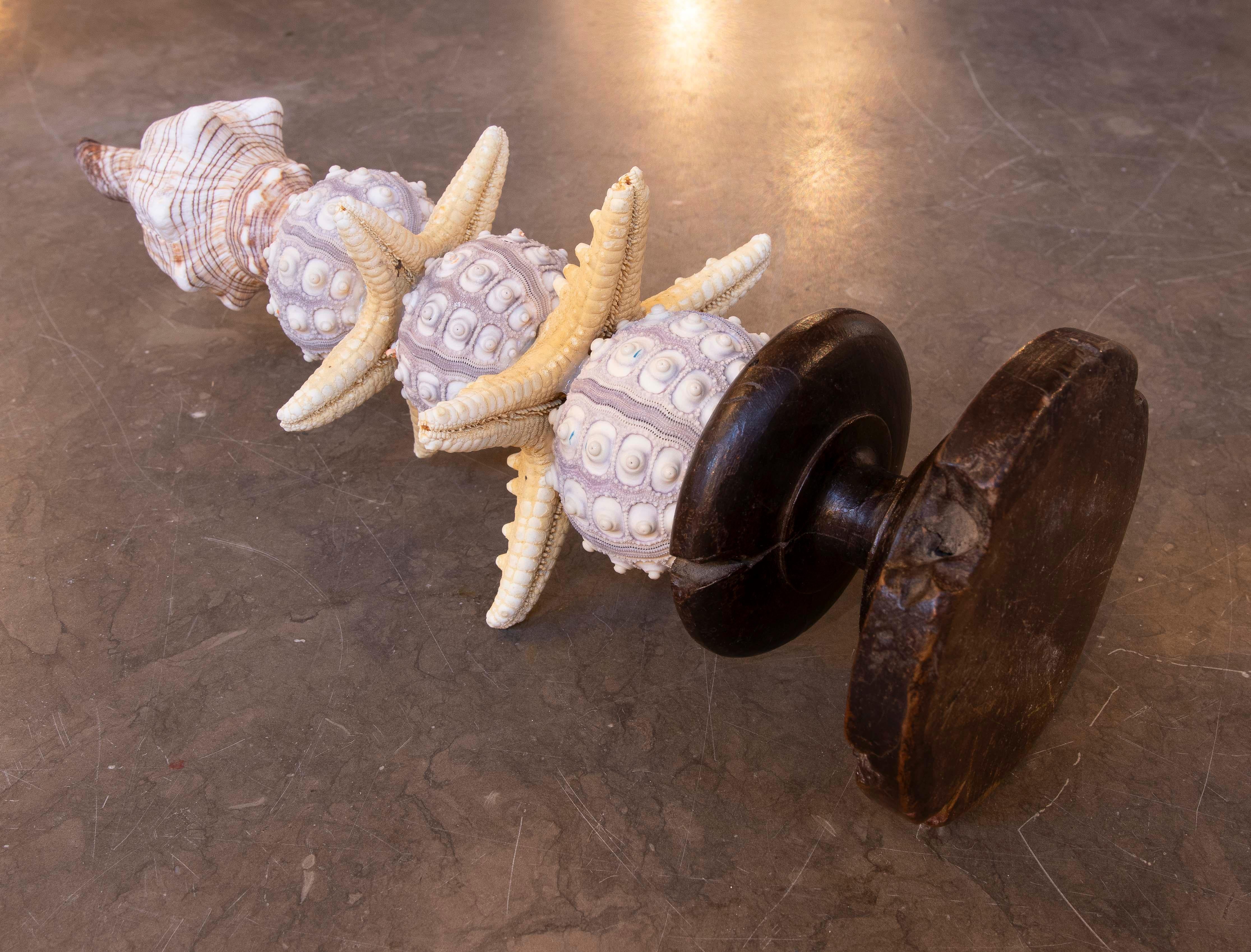 Sculpture with Seashell Assemblage and Antique brass Base For Sale 9