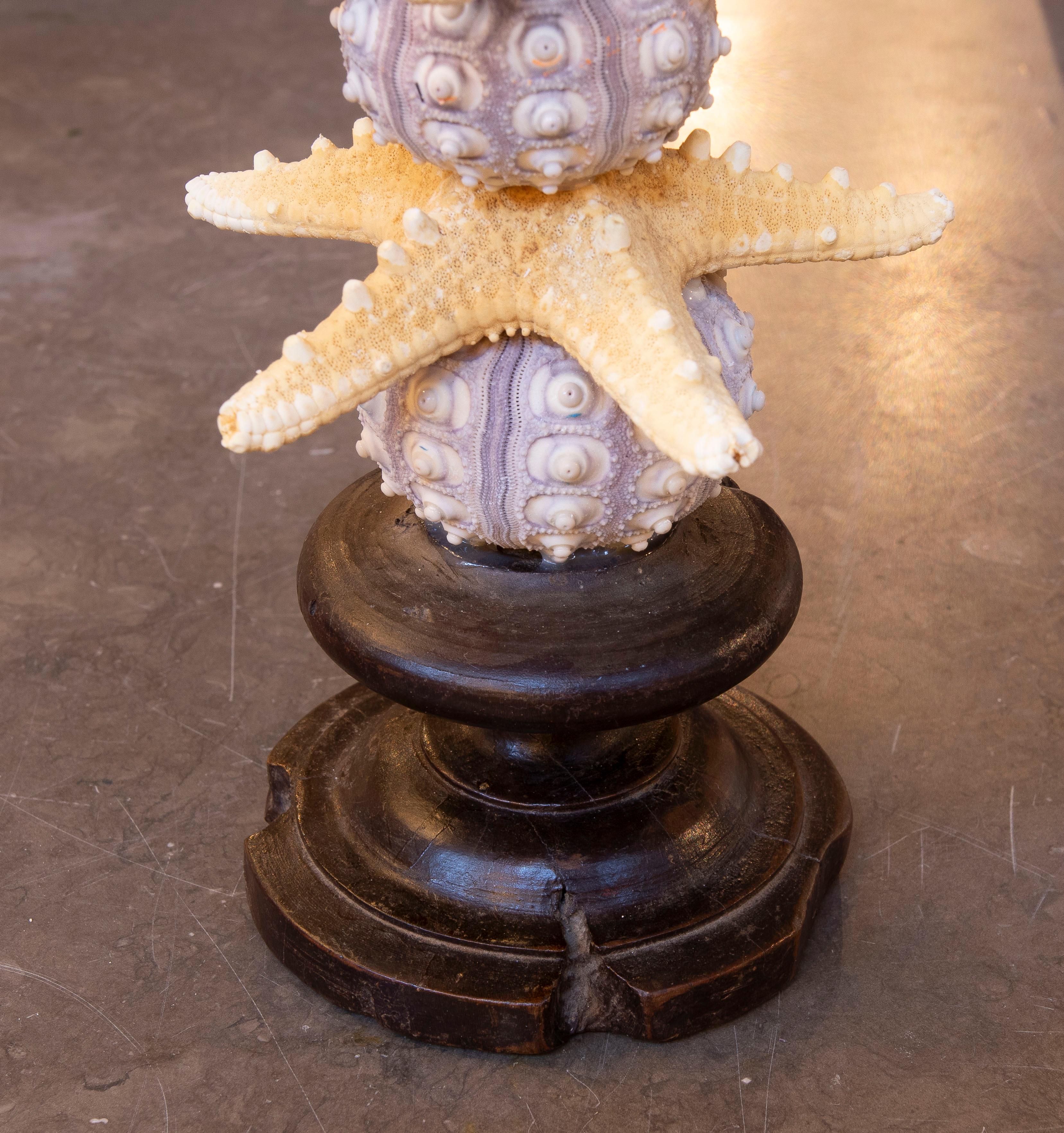 Sculpture with Seashell Assemblage and Antique brass Base For Sale 10