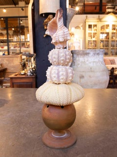 Sculpture with Seashell Assemblage and Antique Brass Base