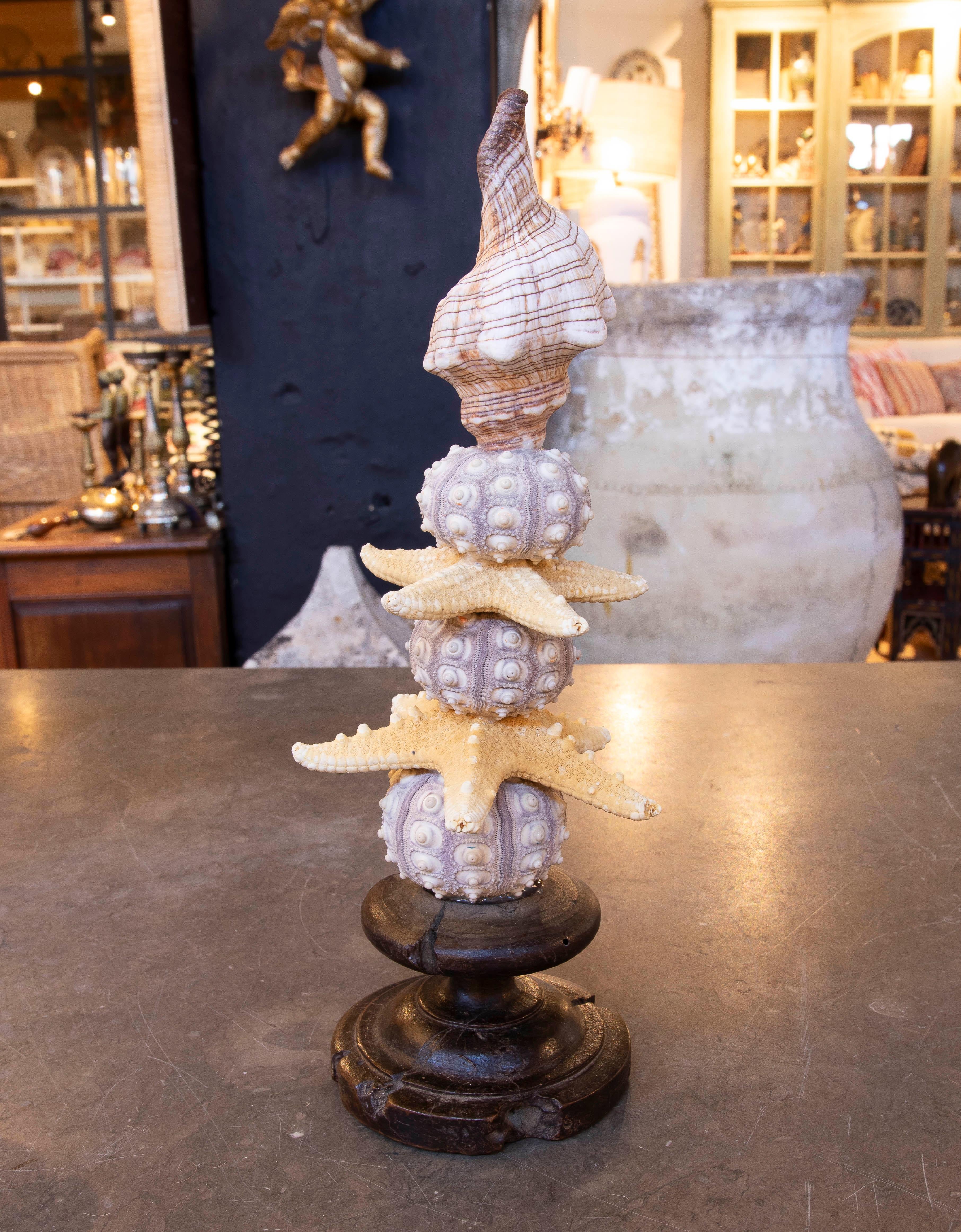 Sculpture with Seashell Assemblage and Antique brass Base In Good Condition For Sale In Marbella, ES