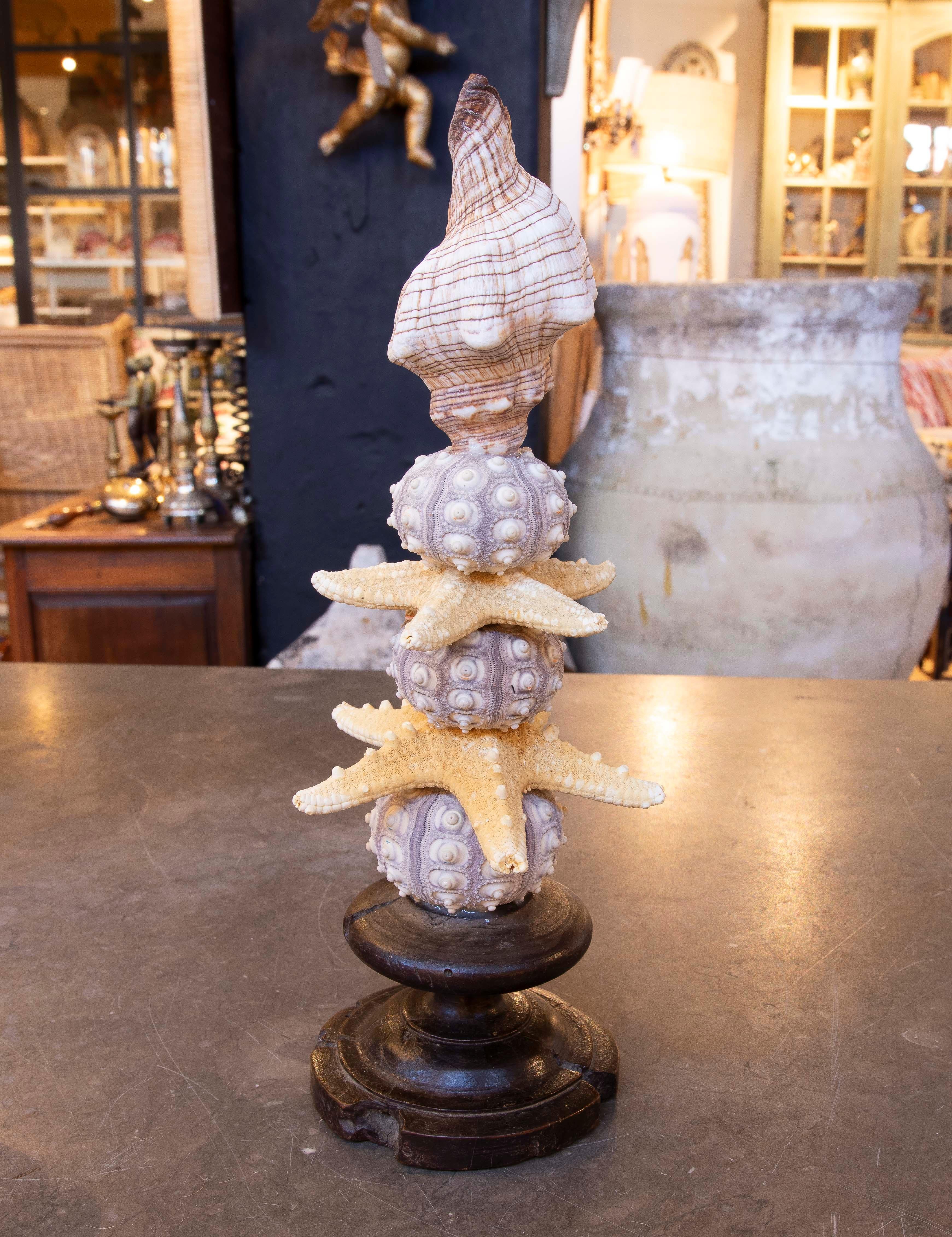 20th Century Sculpture with Seashell Assemblage and Antique brass Base For Sale