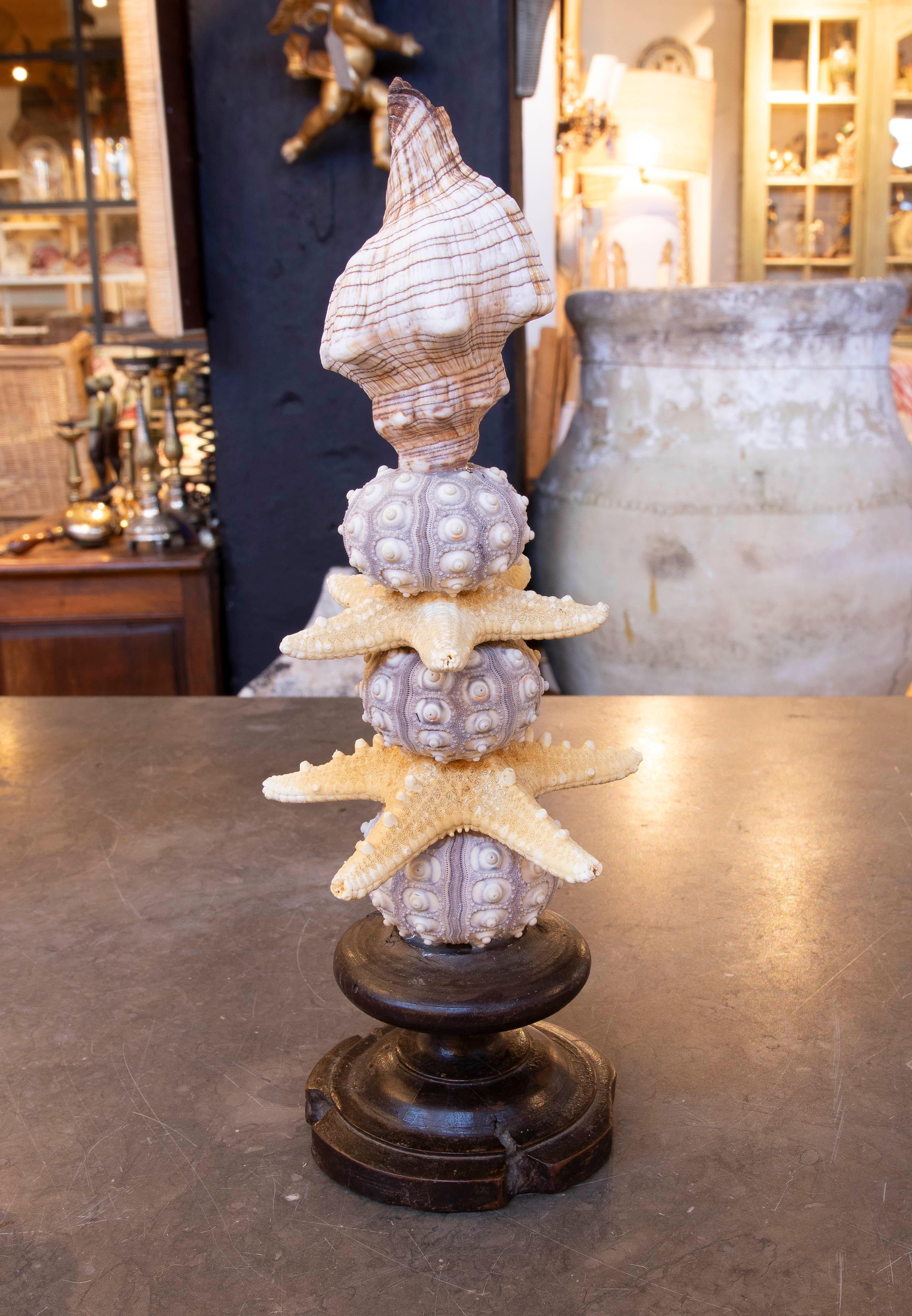 Shell Sculpture with Seashell Assemblage and Antique brass Base For Sale