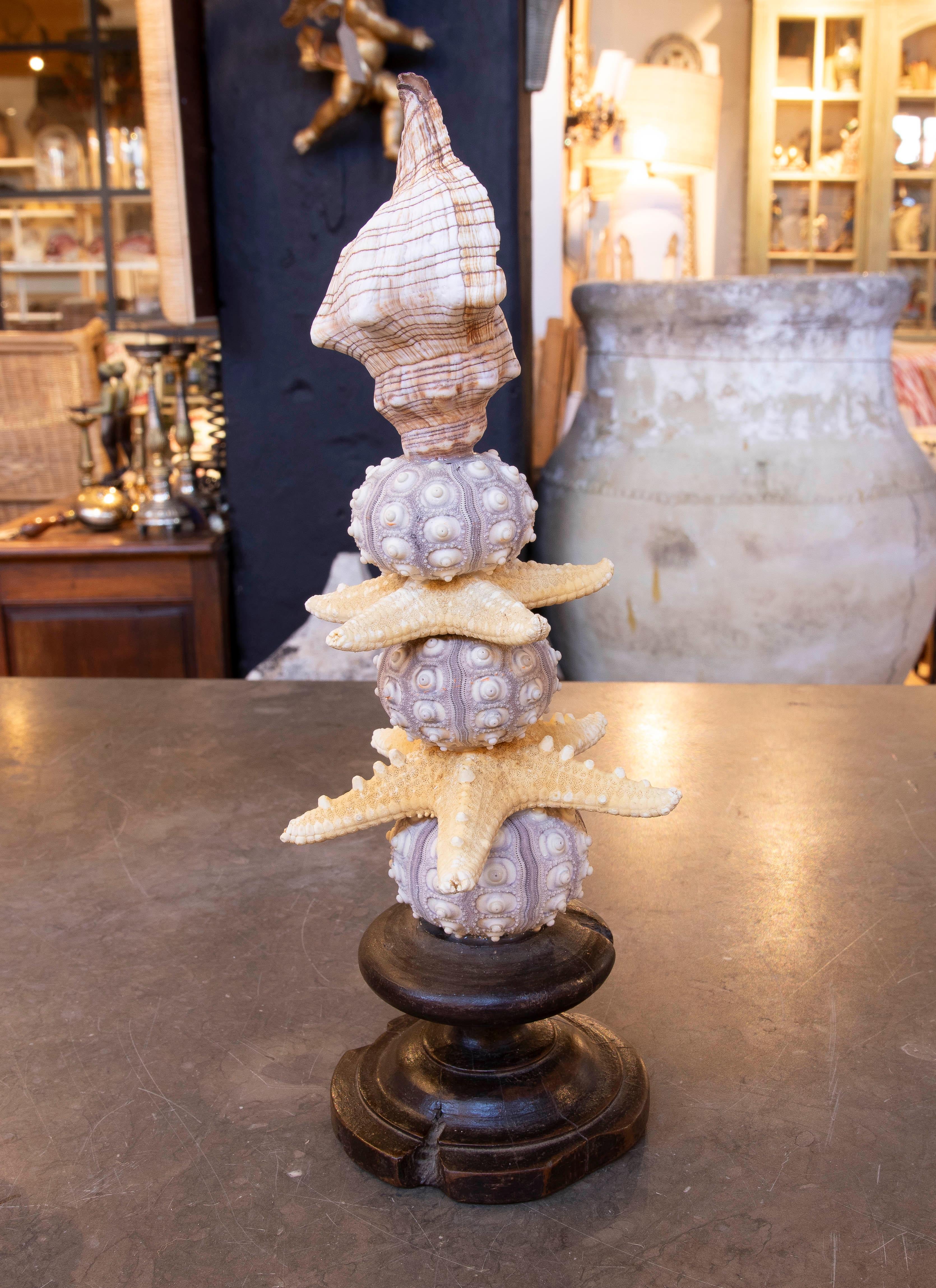Sculpture with Seashell Assemblage and Antique brass Base For Sale 1