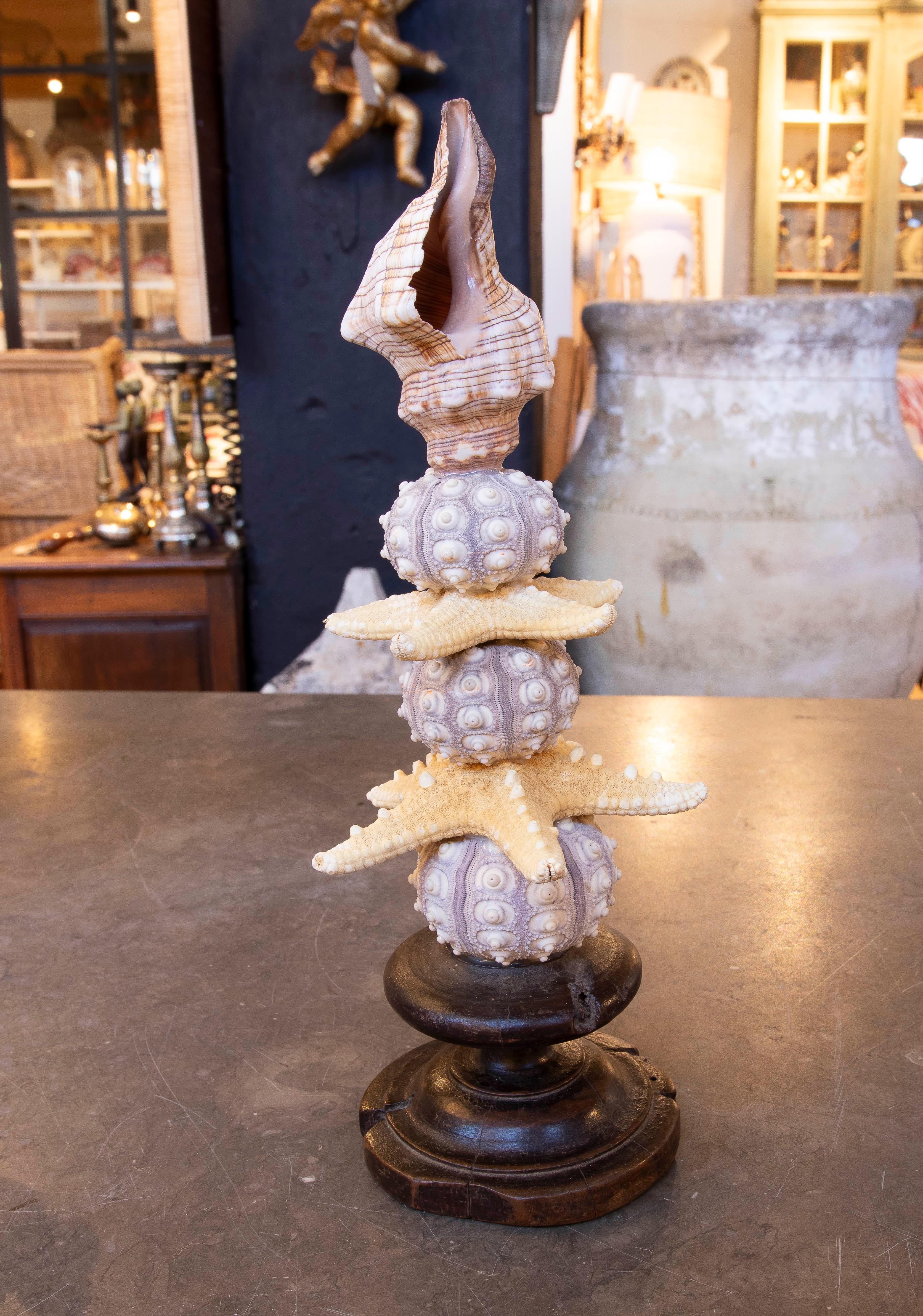 Sculpture with Seashell Assemblage and Antique brass Base For Sale 2