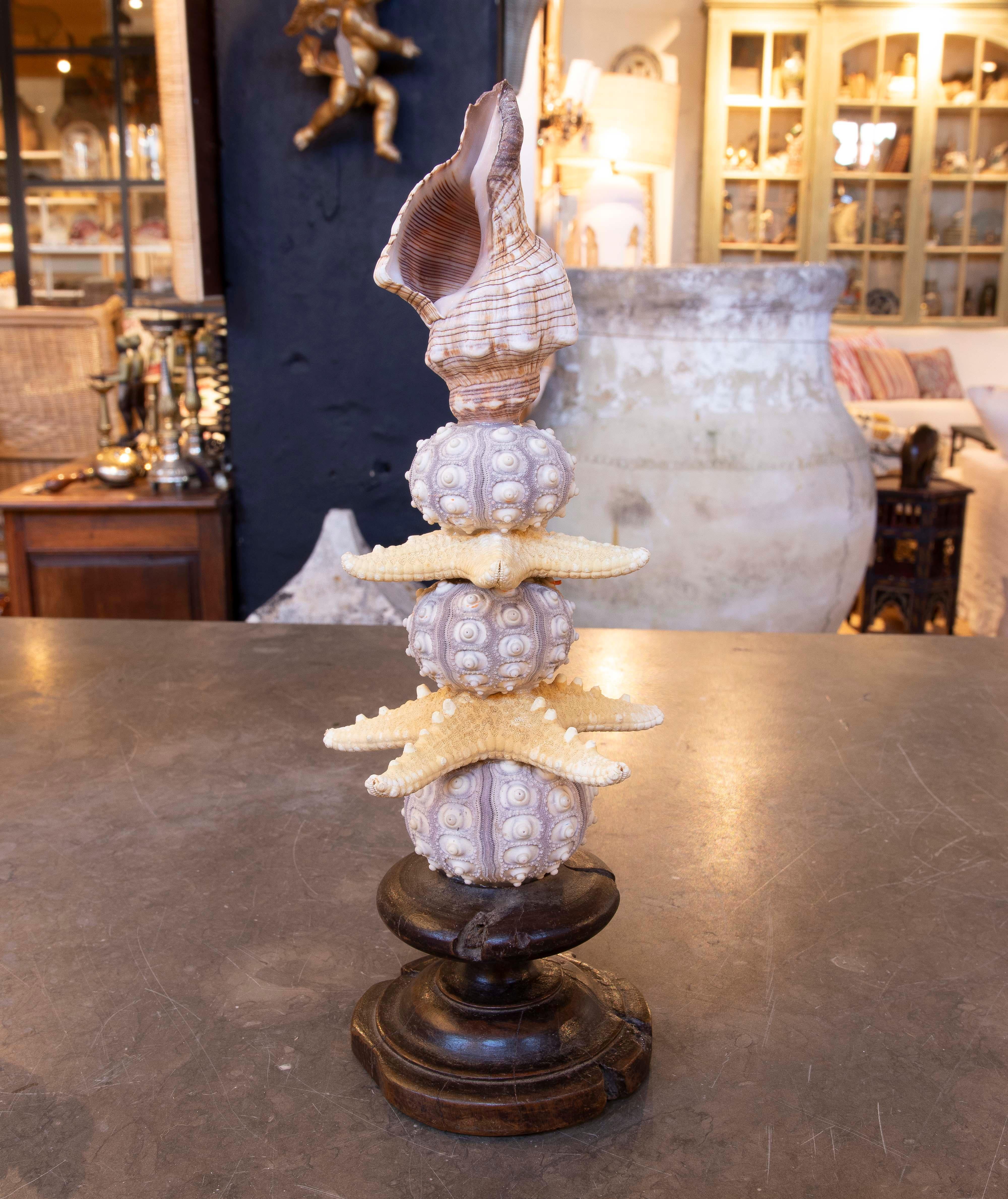 Sculpture with Seashell Assemblage and Antique brass Base For Sale 3