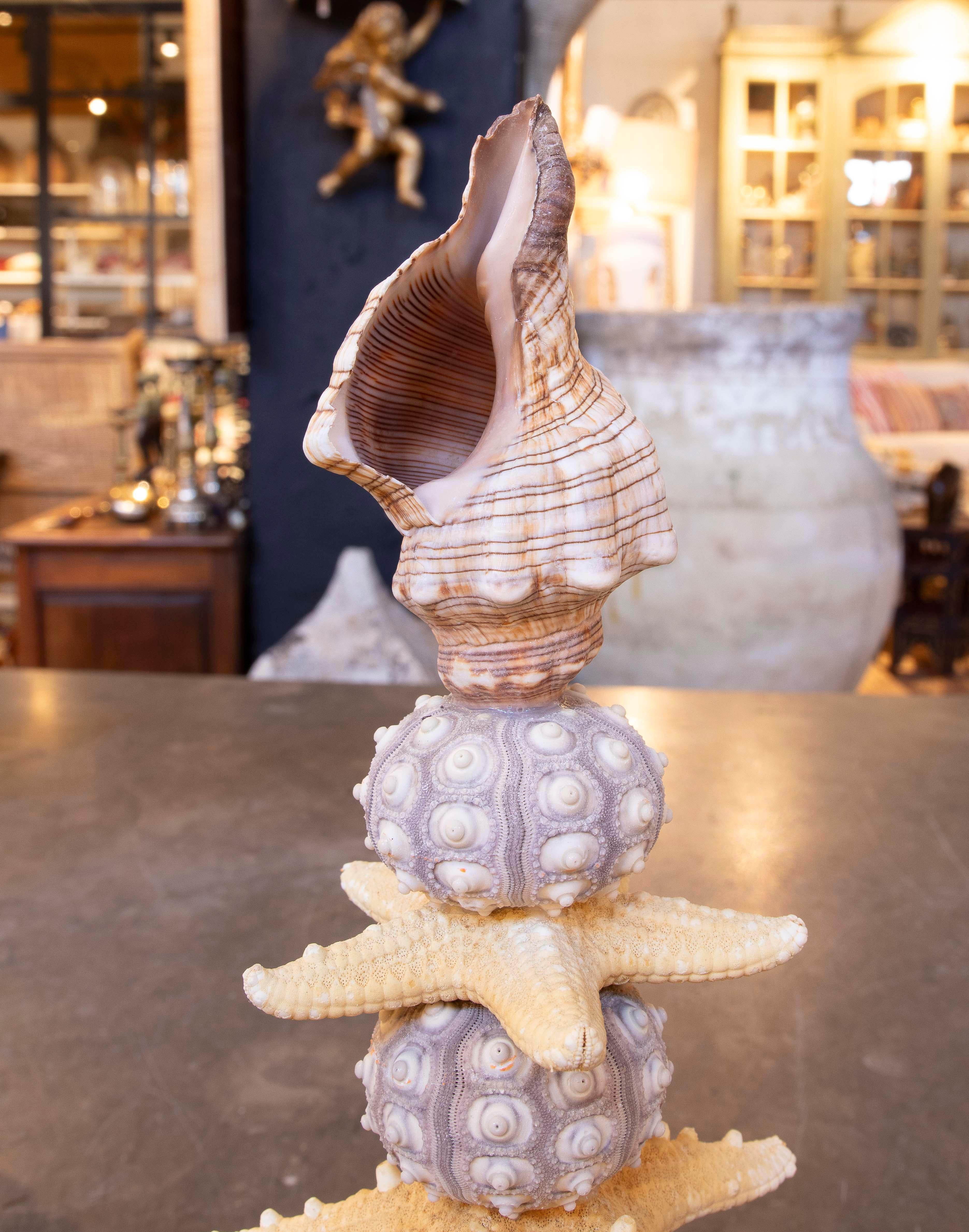 Sculpture with Seashell Assemblage and Antique brass Base For Sale 4