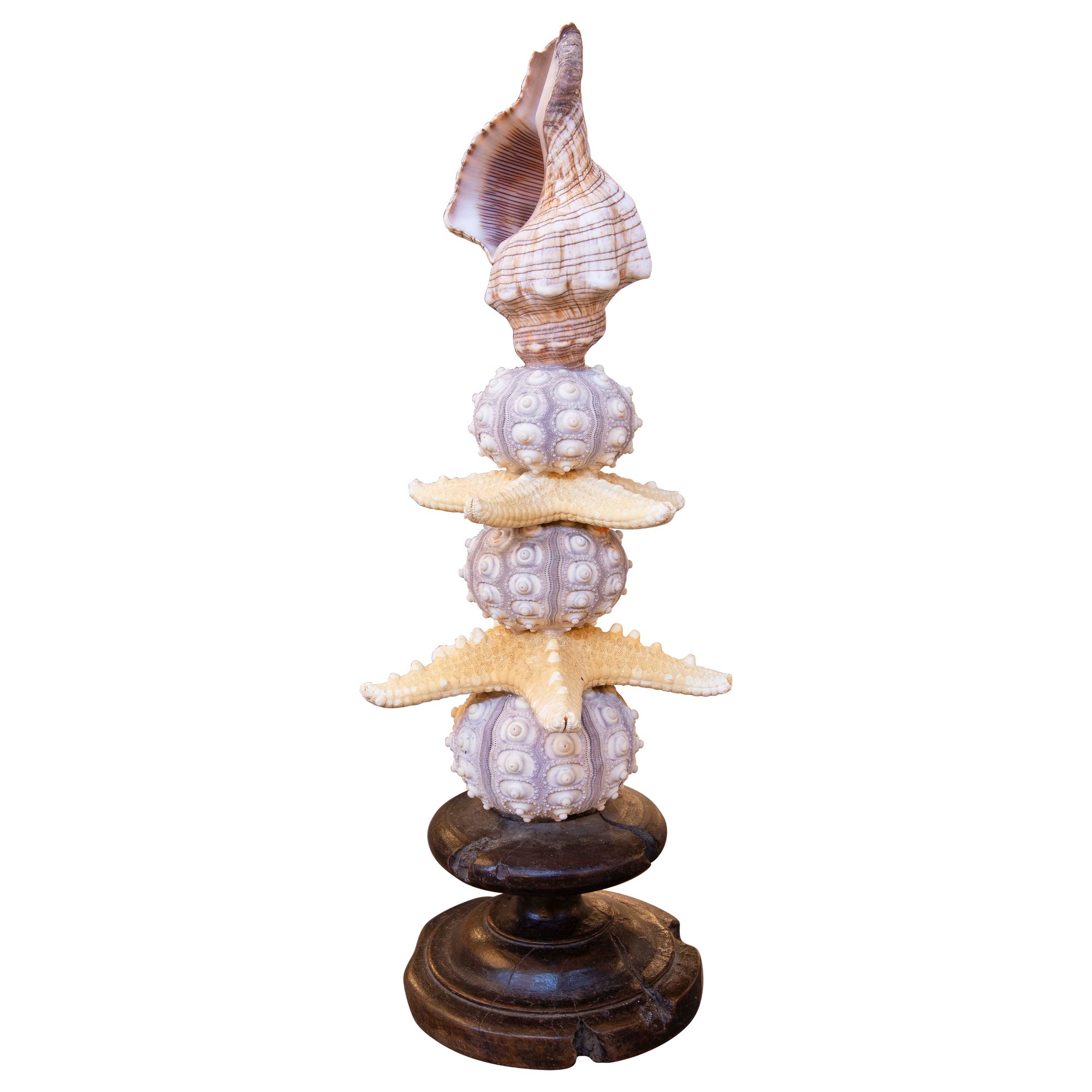 Sculpture avec assemblage en forme de coquillages et base en laiton antique